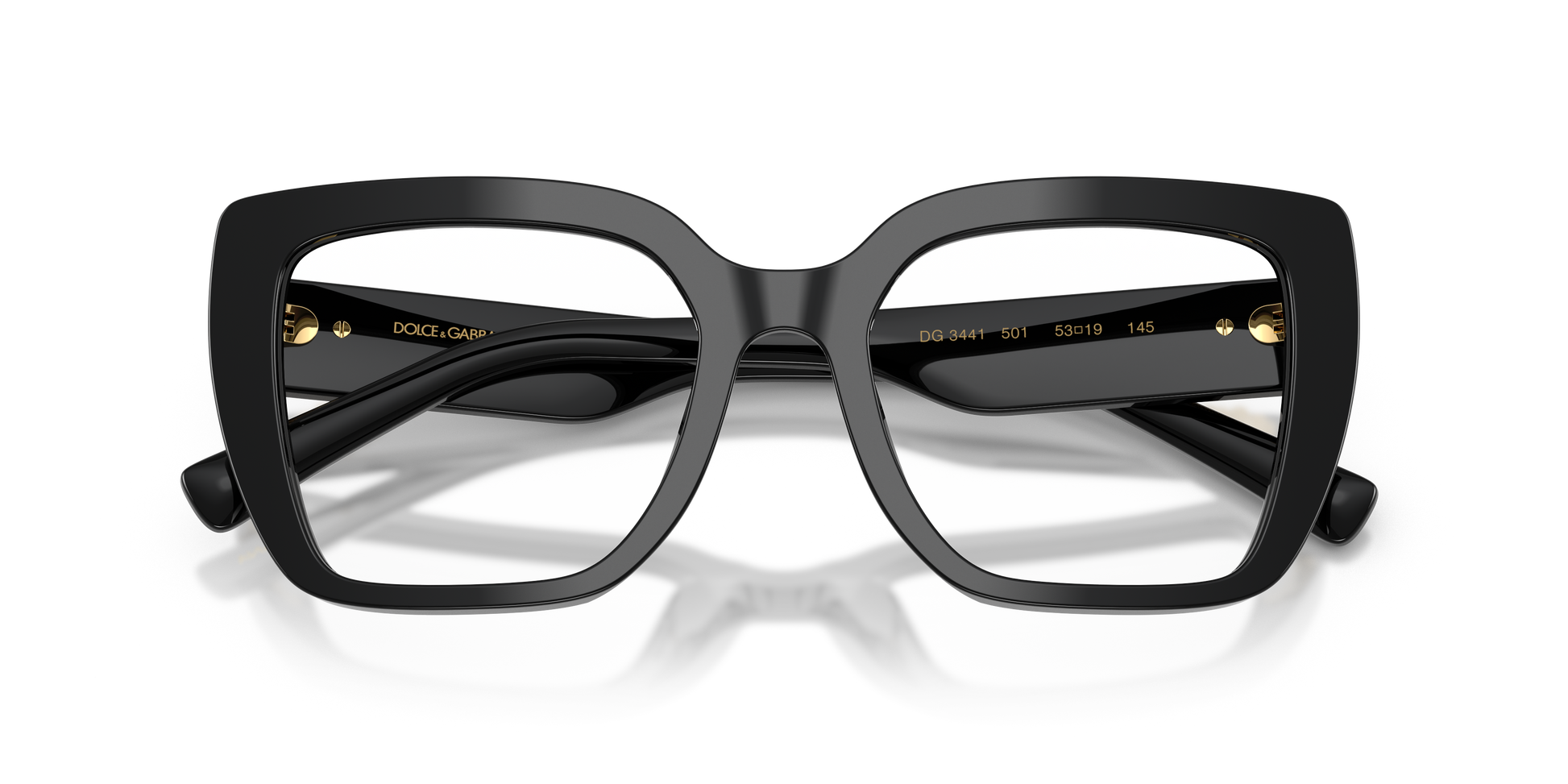 Dolce & Gabbana DG3441 501