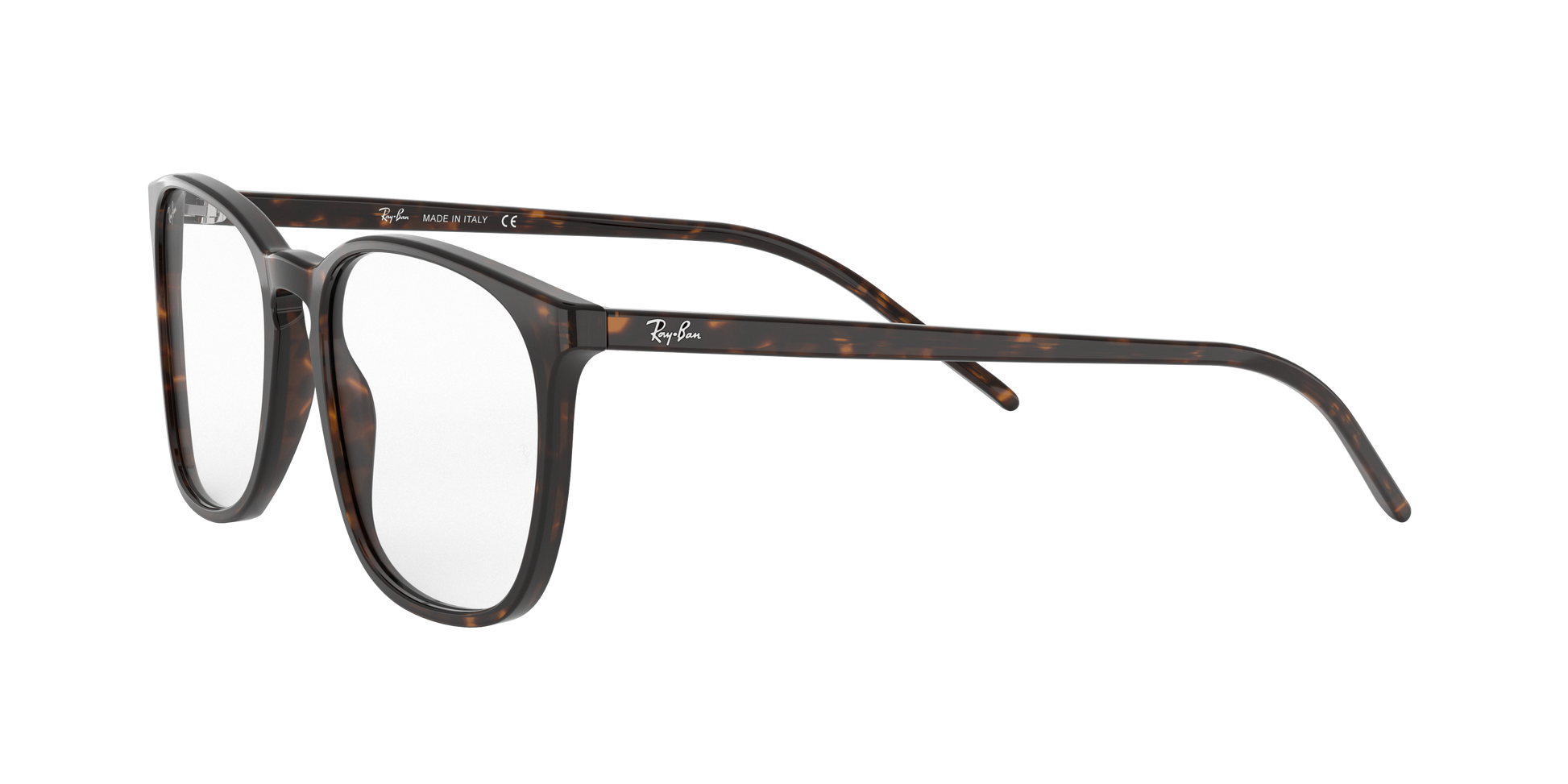 Ray-Ban RX5387 2012