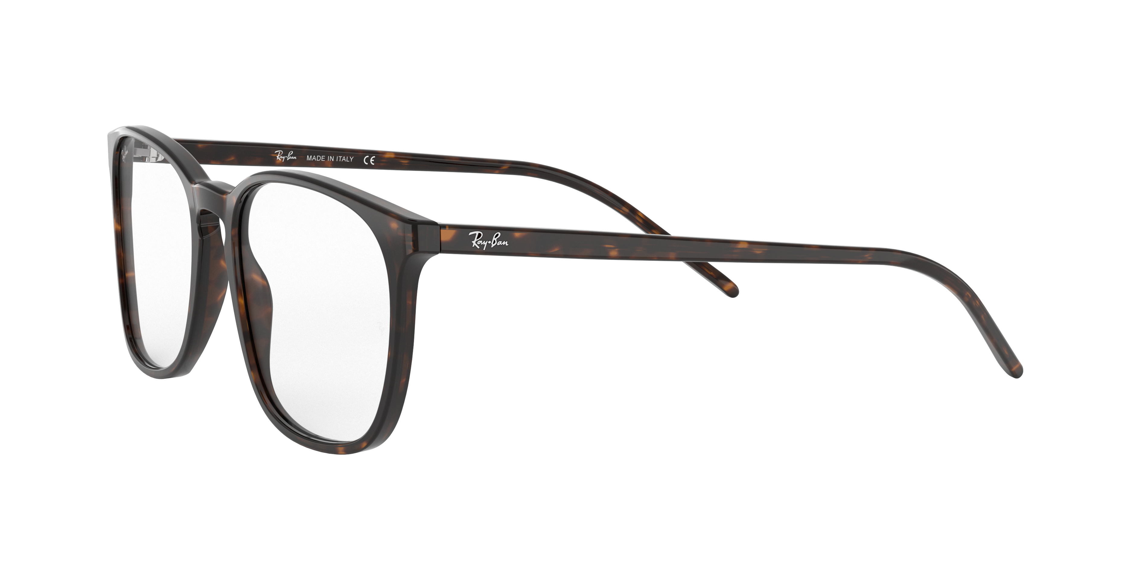 Ray-Ban RX5387 2012