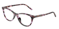 Dolce & Gabbana DG3443 3477