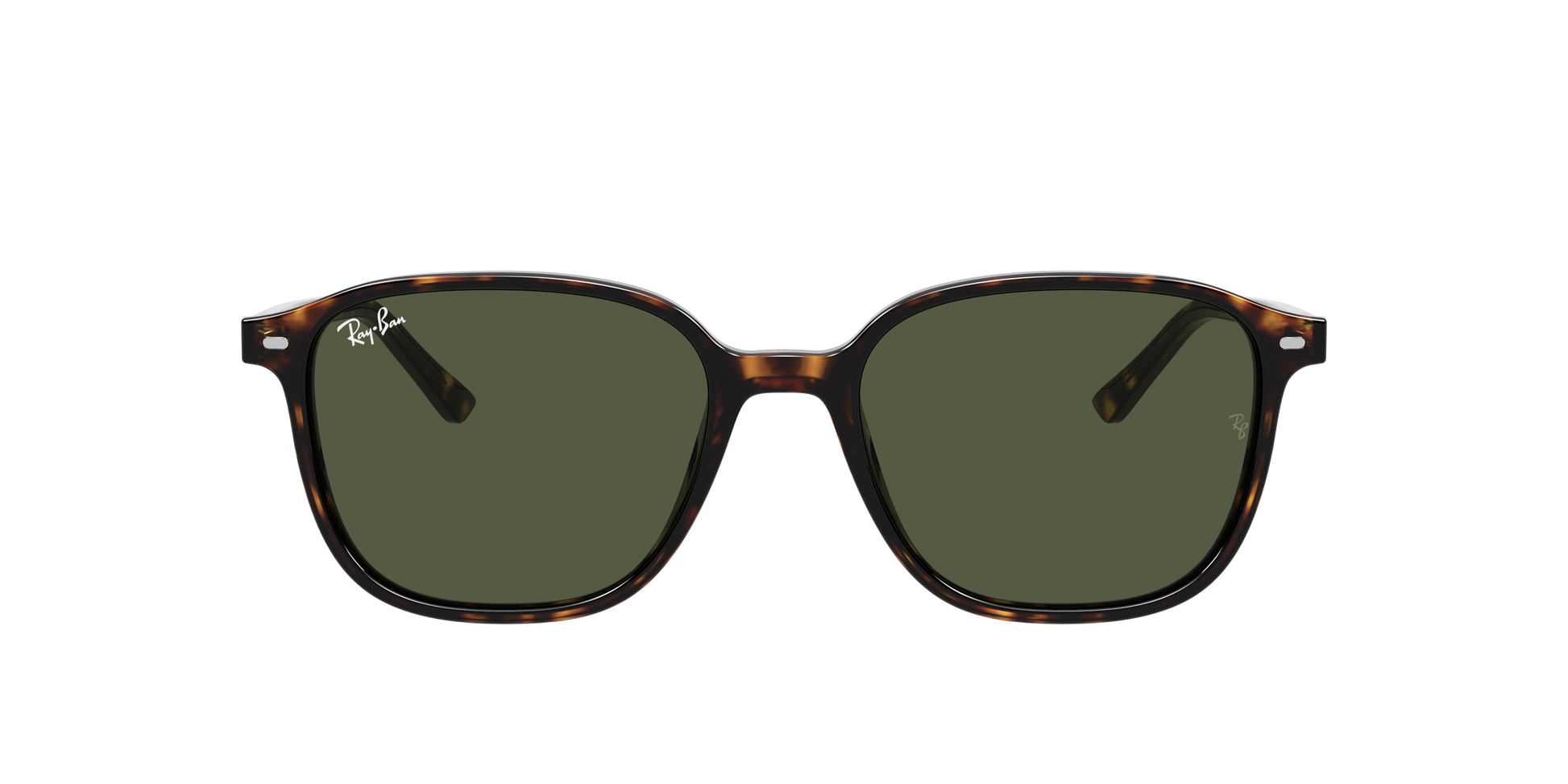 Ray-Ban RB2193 LEONARD 902/31