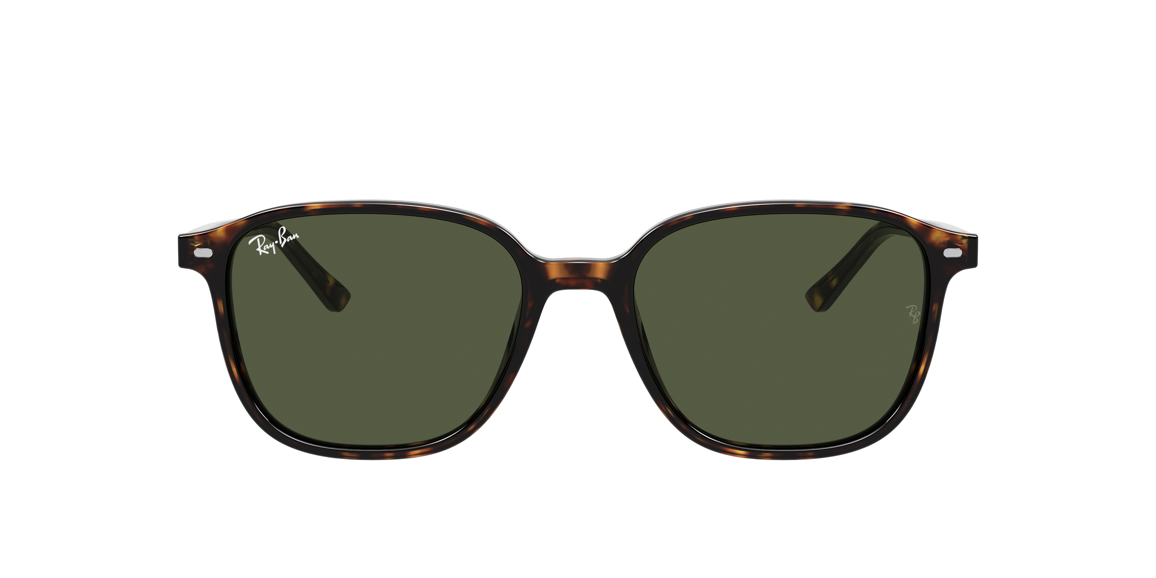 Ray-Ban RB2193 LEONARD 902/31