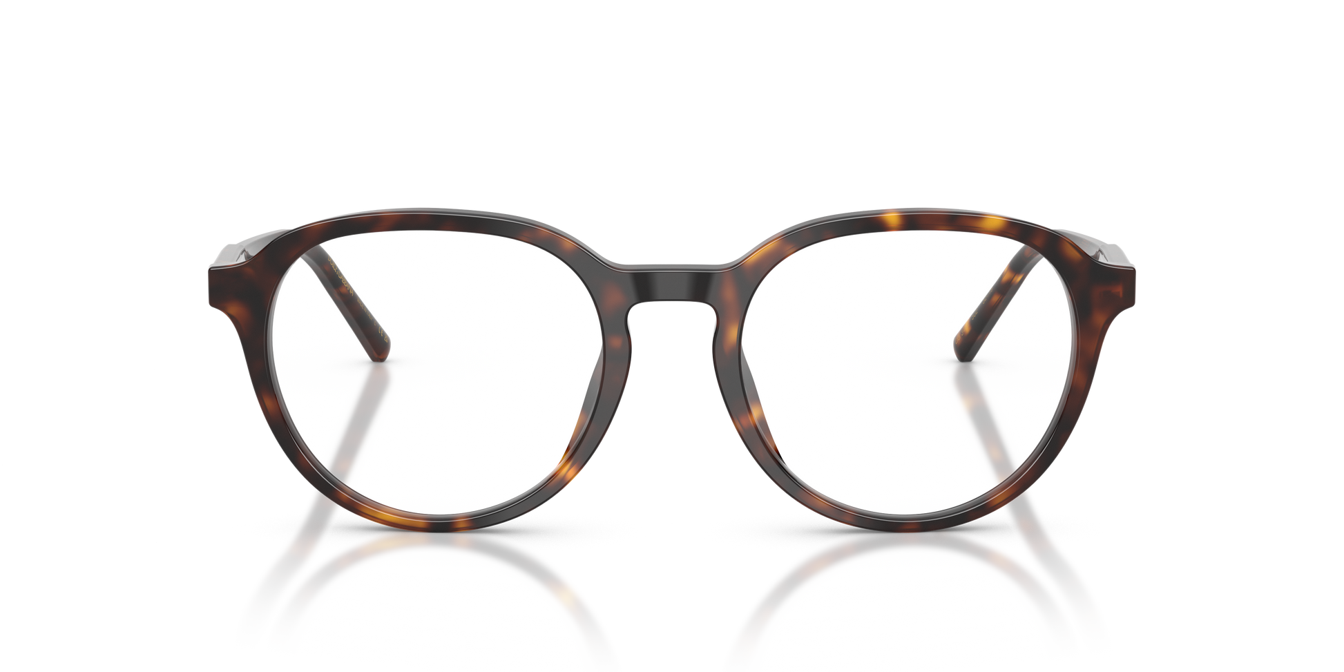 Dolce & Gabbana DG3444 502