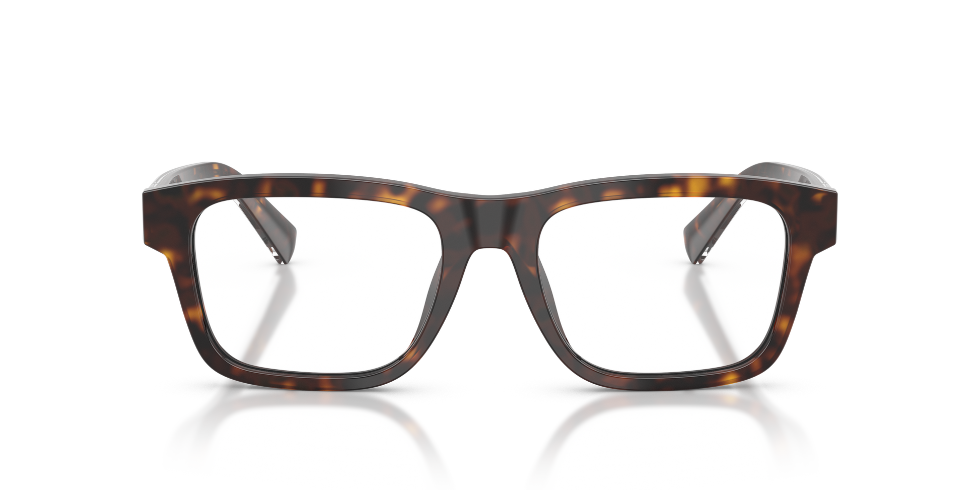Dolce & Gabbana DG3446 502