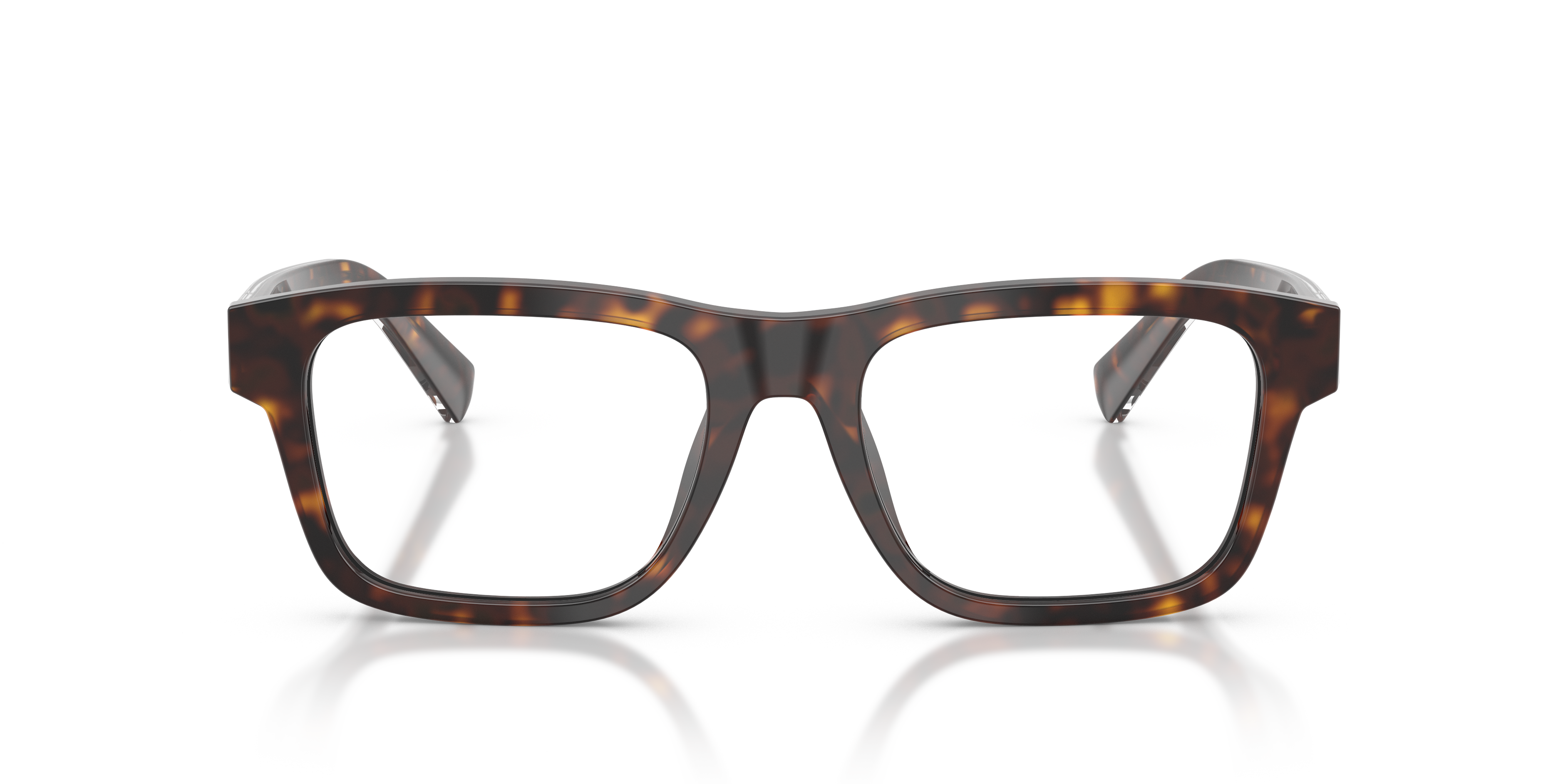 Dolce & Gabbana DG3446 502