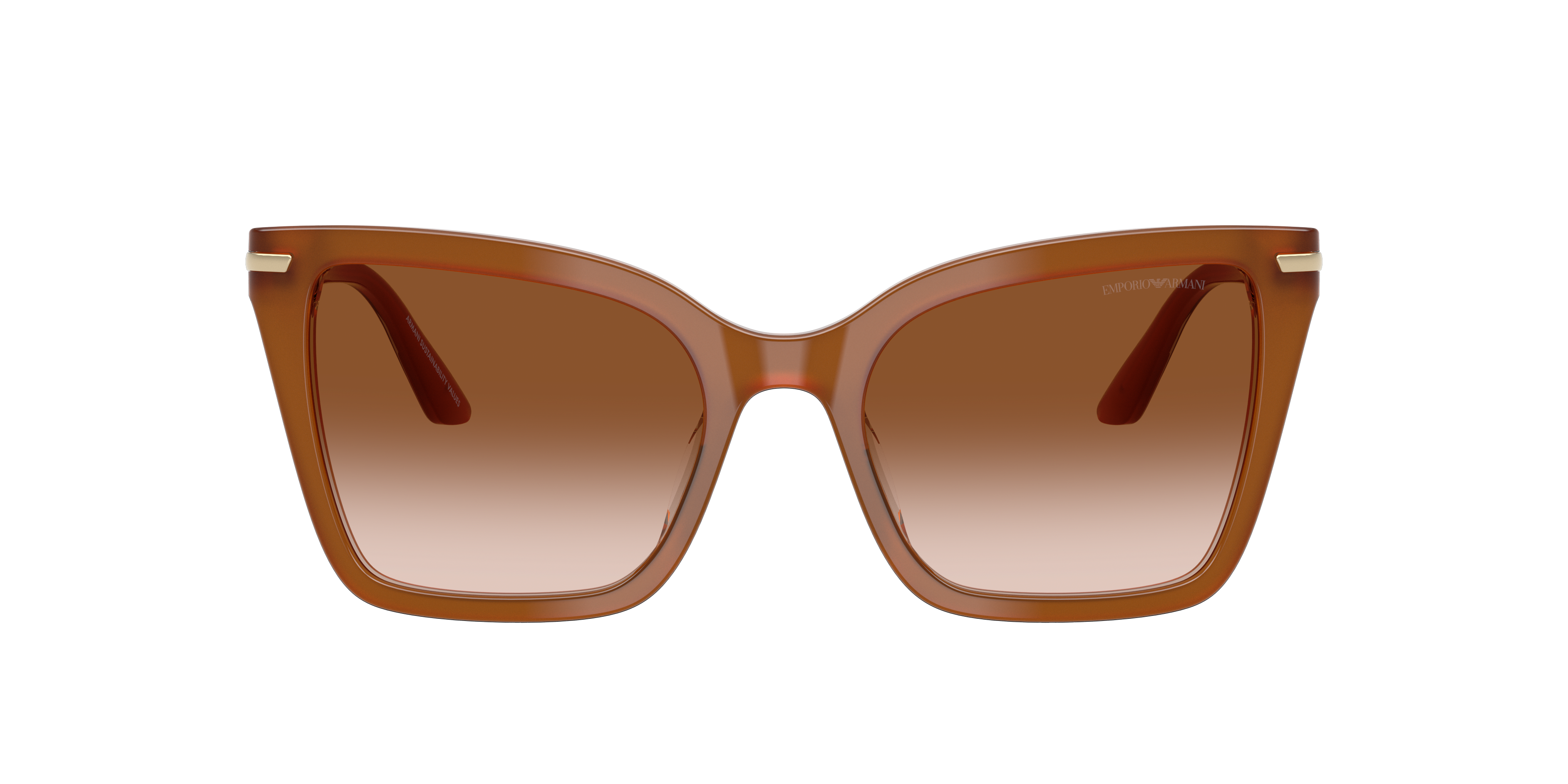 Emporio Armani EA4273BU 637613