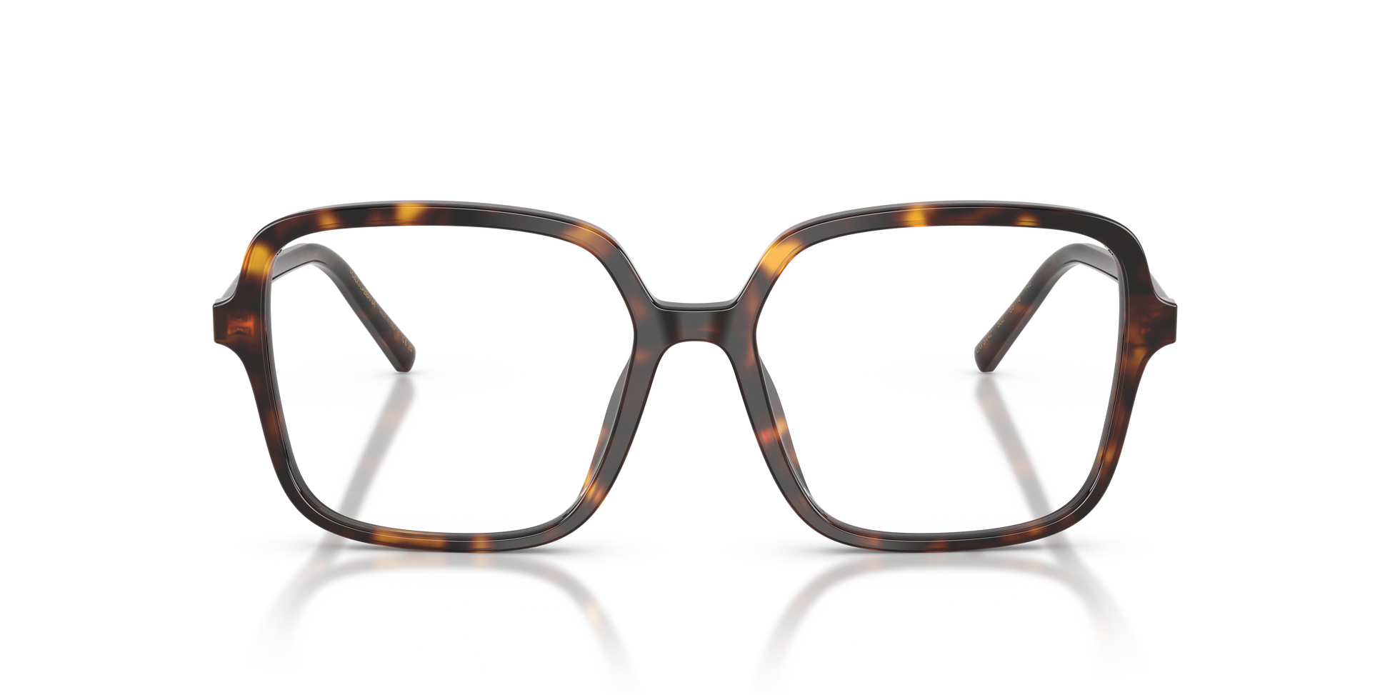 Dolce & Gabbana DG3442 502