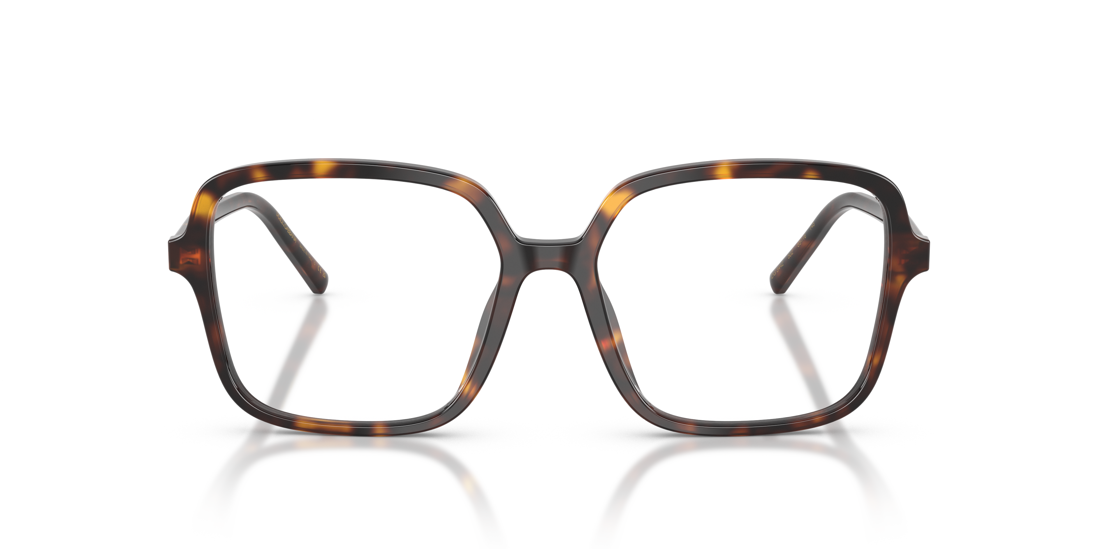 Dolce & Gabbana DG3442 502