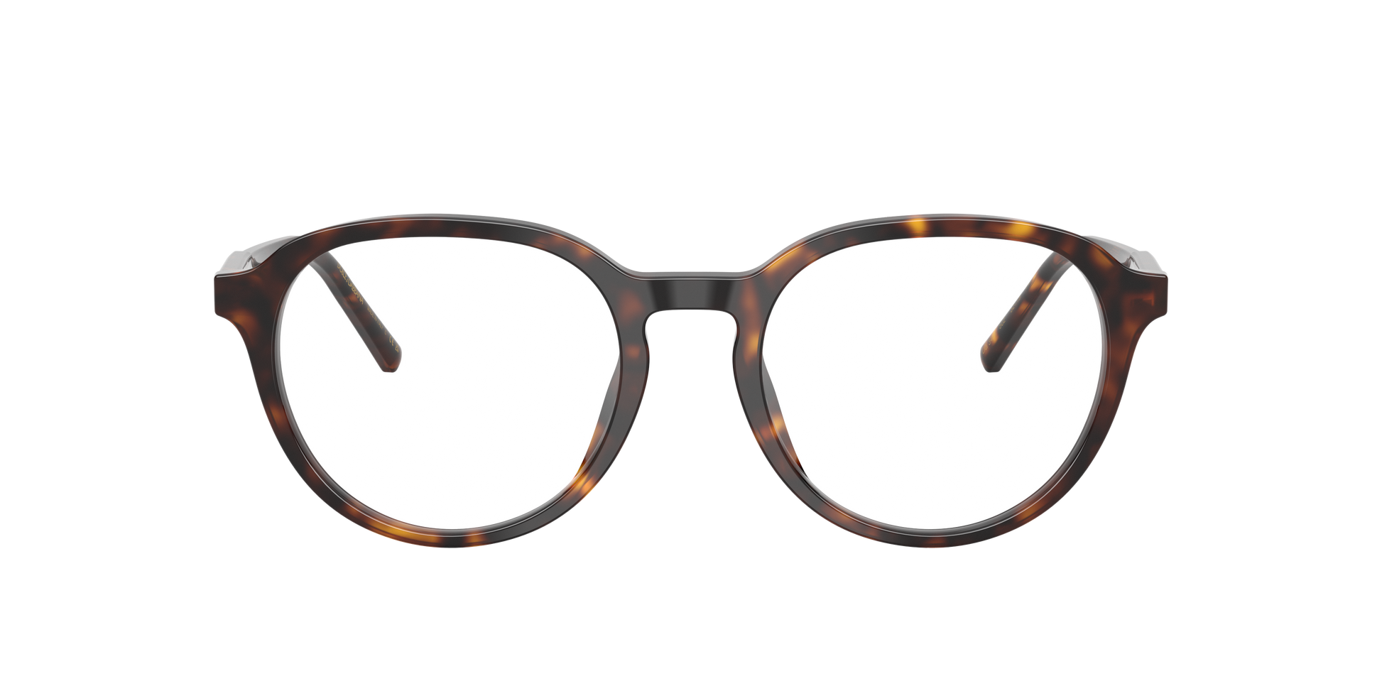 Dolce & Gabbana DG3444 502