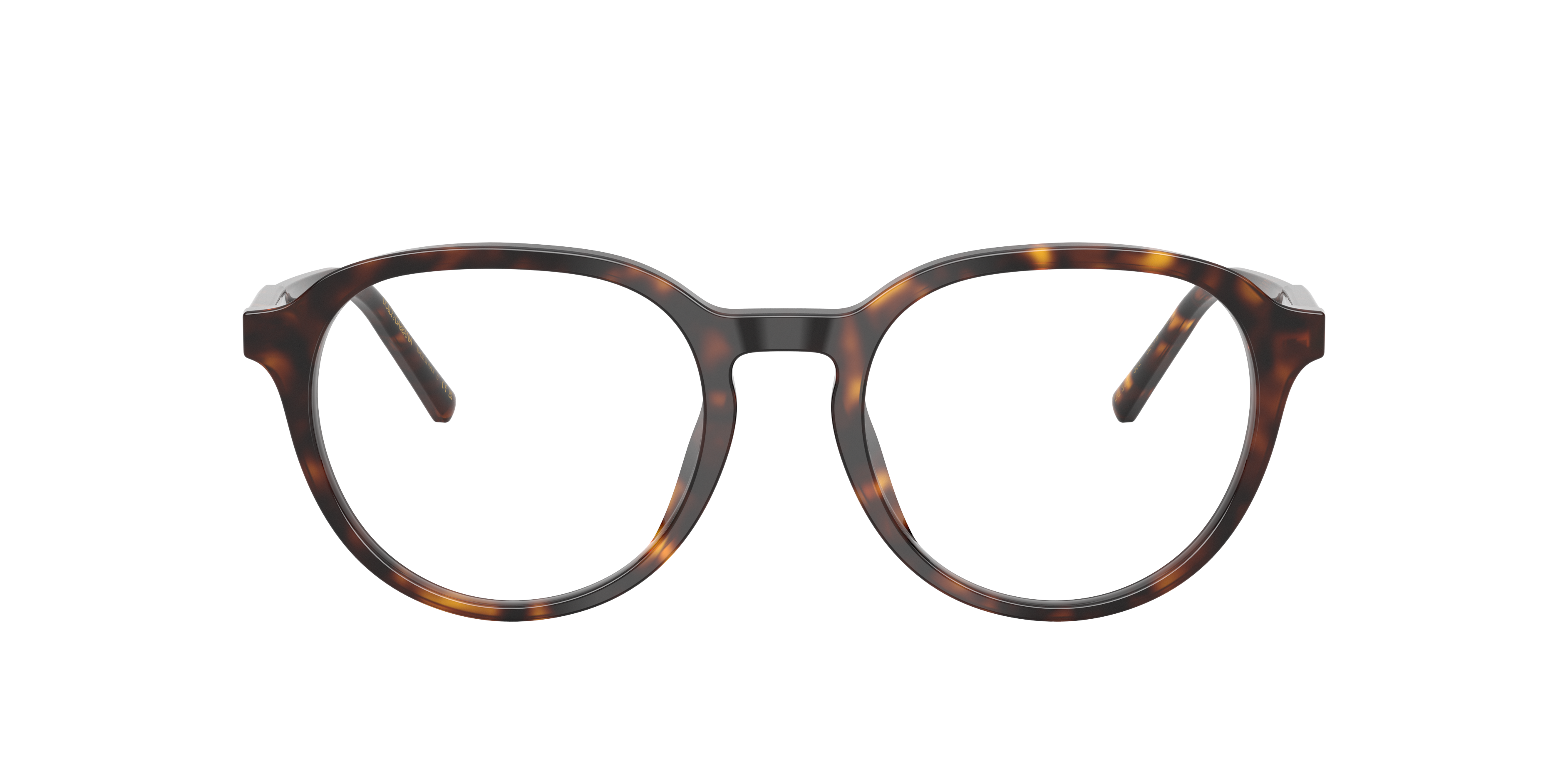 Dolce & Gabbana DG3444 502