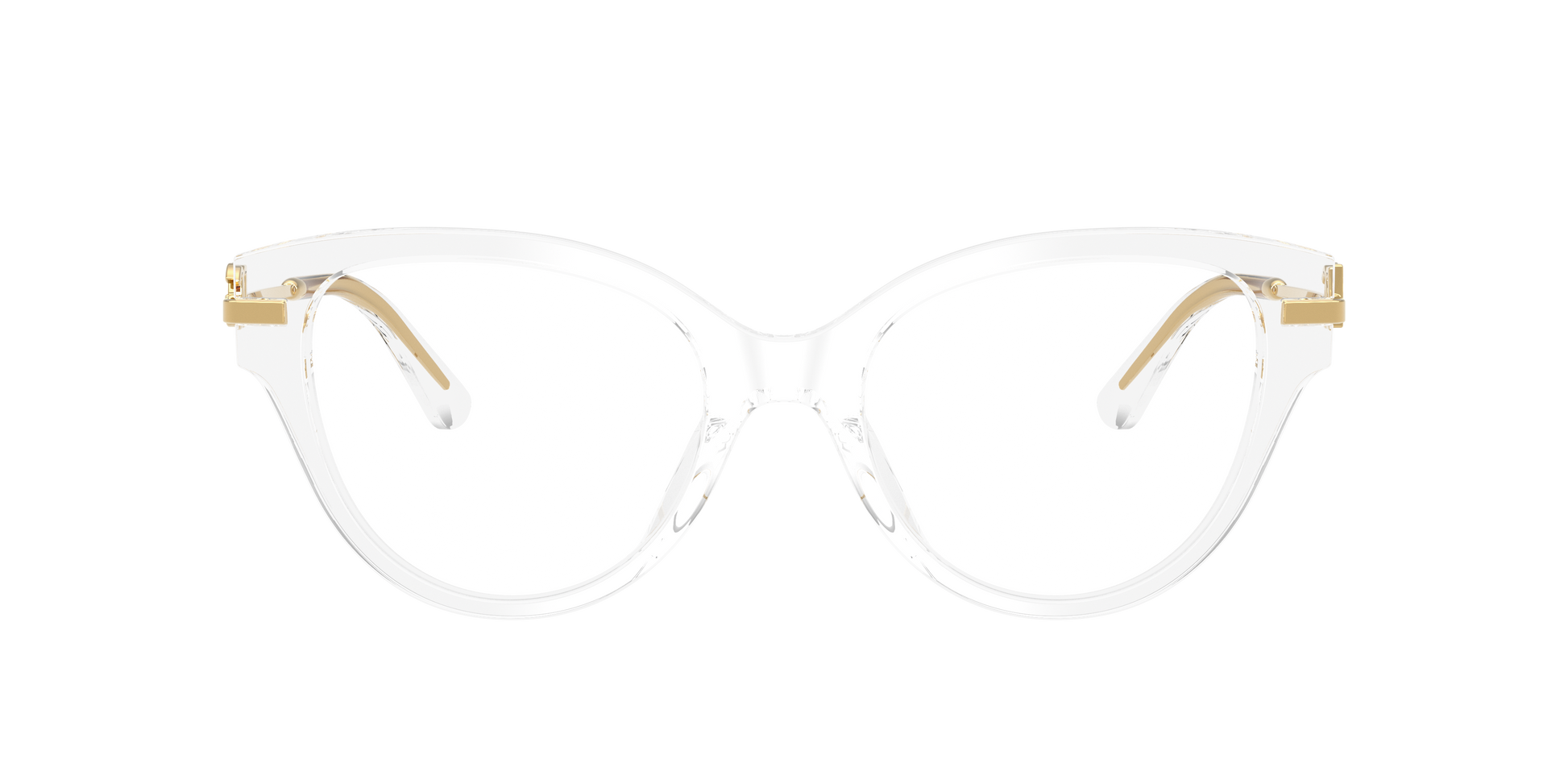Dolce & Gabbana DG3438 3133
