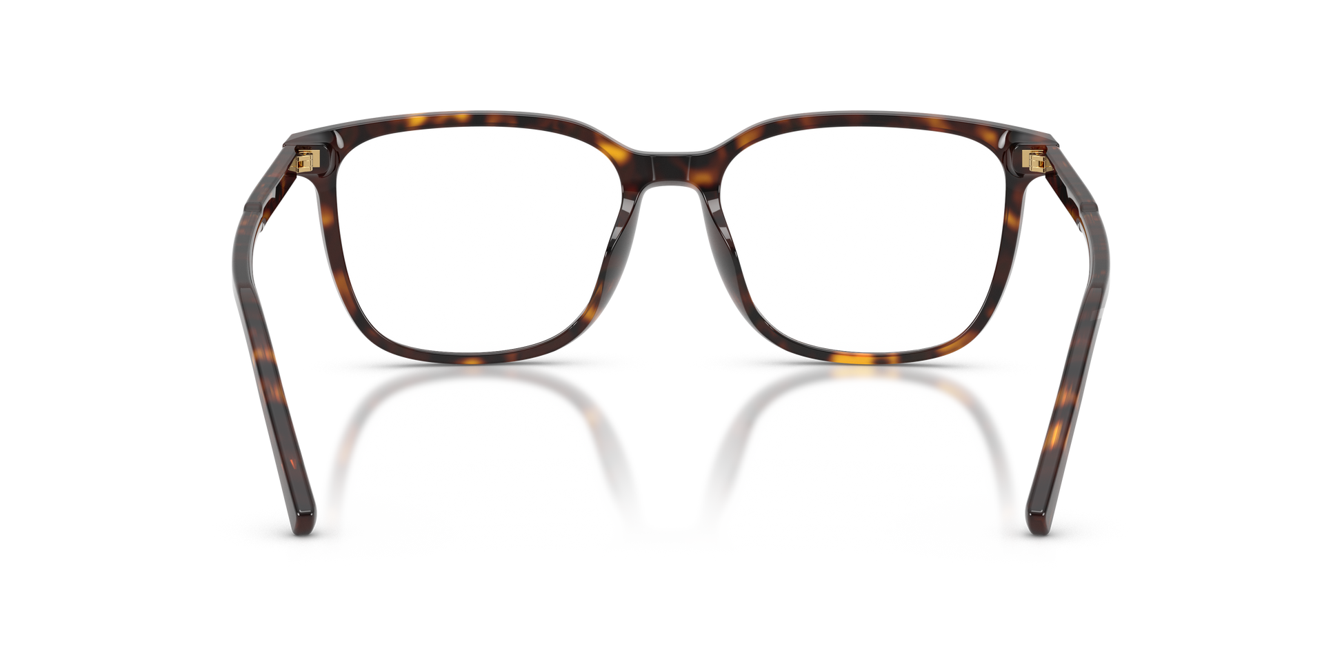 Dolce & Gabbana DG3445 502