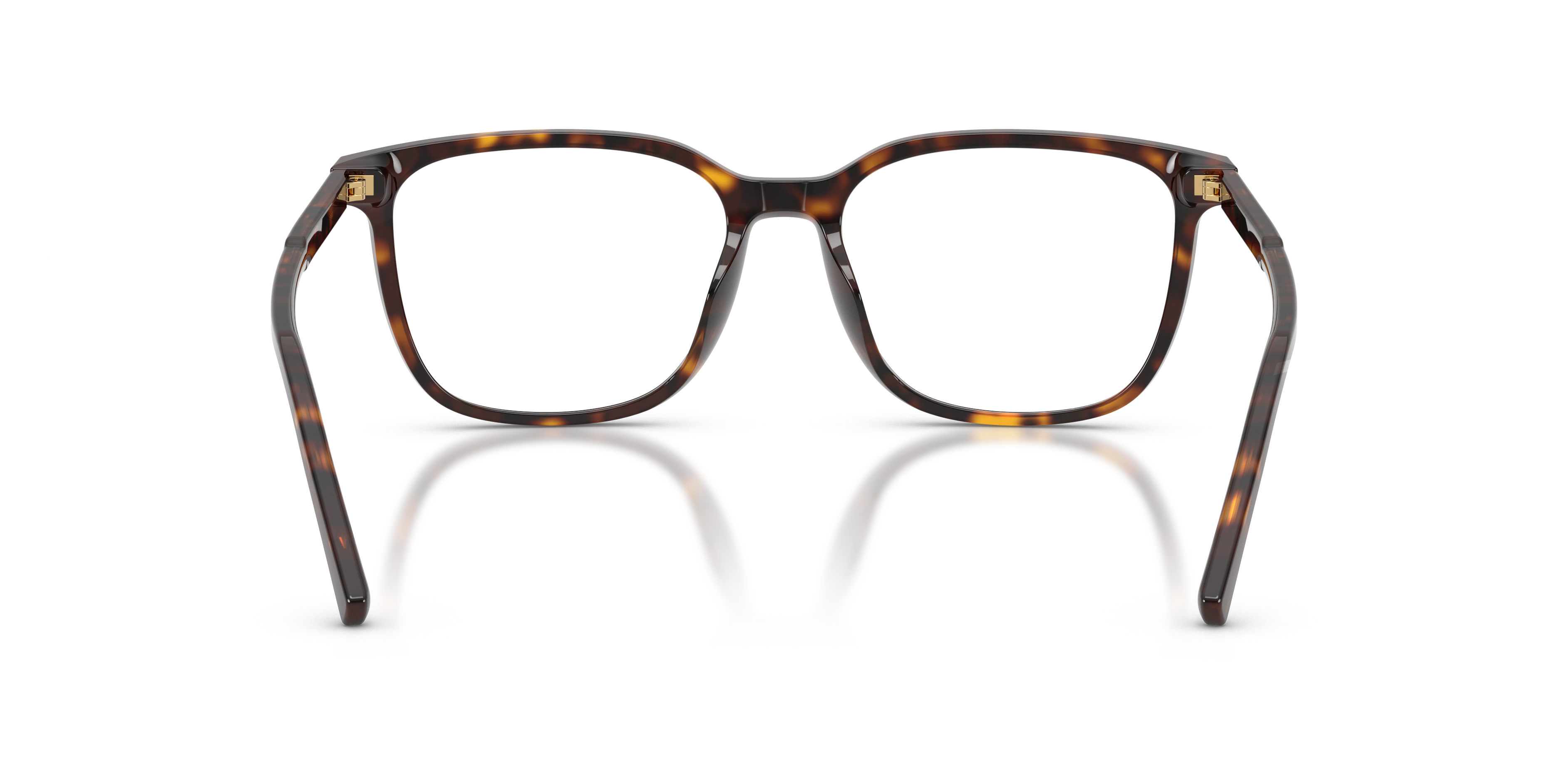 Dolce & Gabbana DG3445 502