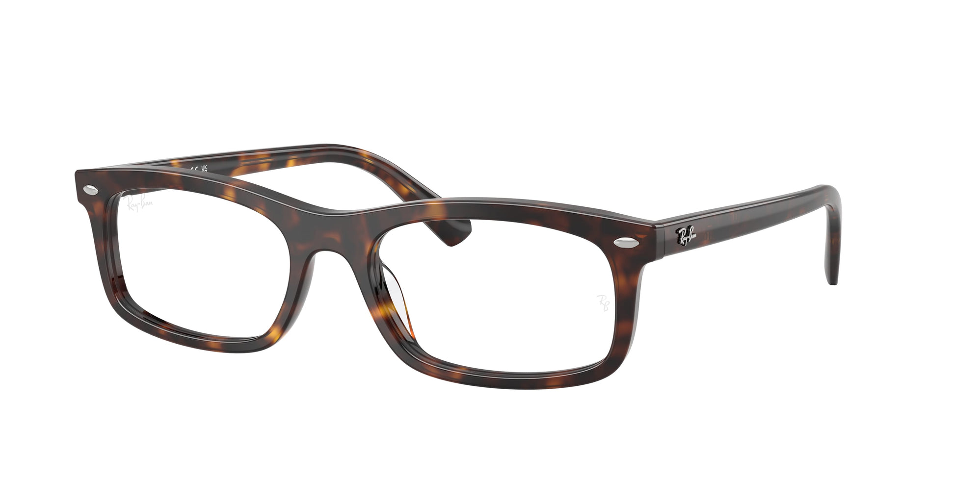 Ray-Ban RX5450 2012