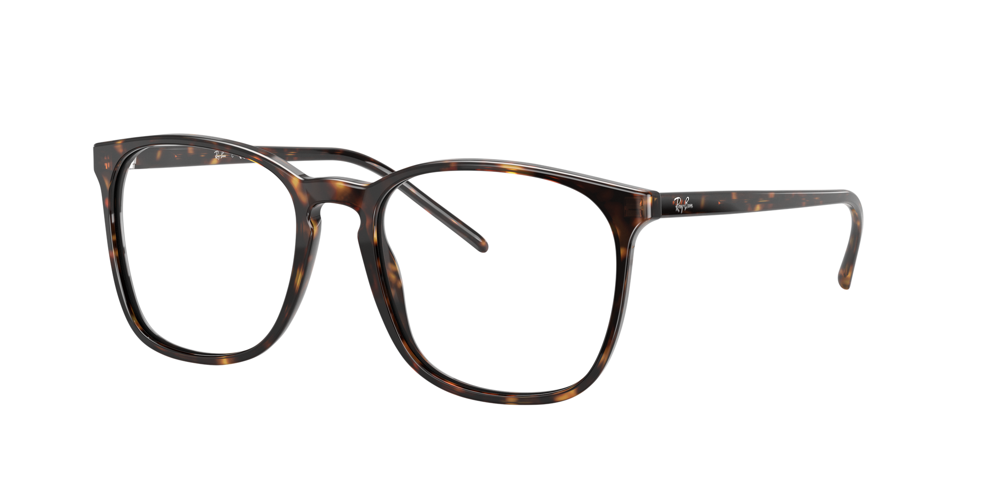 Ray-Ban RX5387 2012