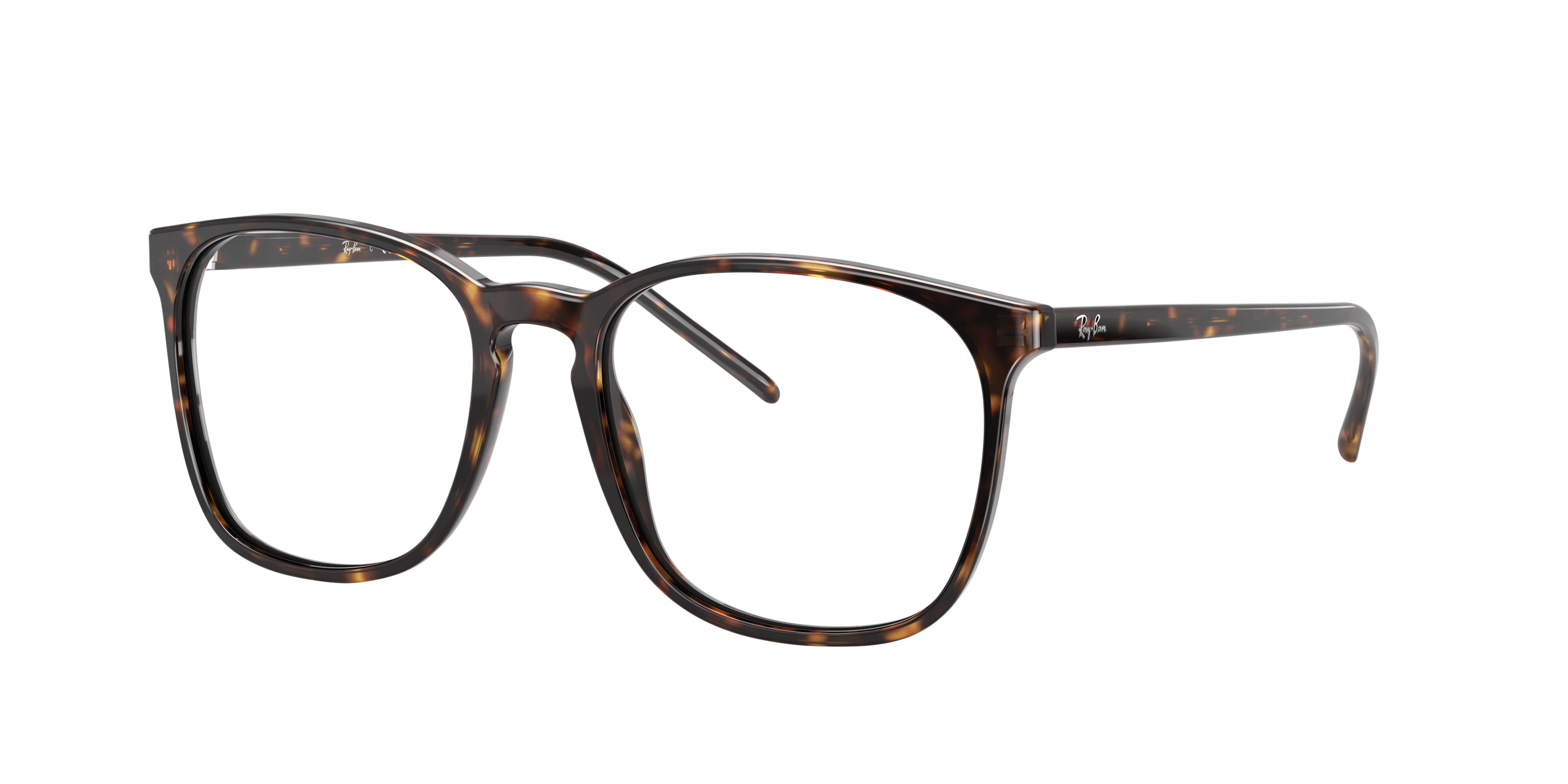 Ray-Ban RX5387 2012