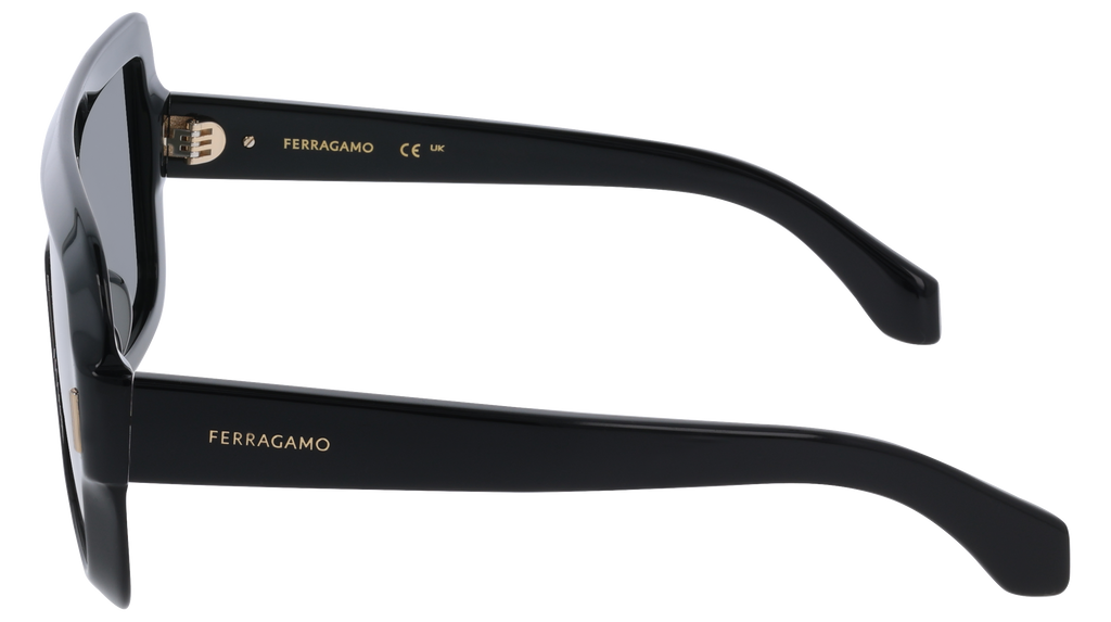 Ferragamo SF2061SE 1 - Black Sunglasses | LookerOnline display picture 1