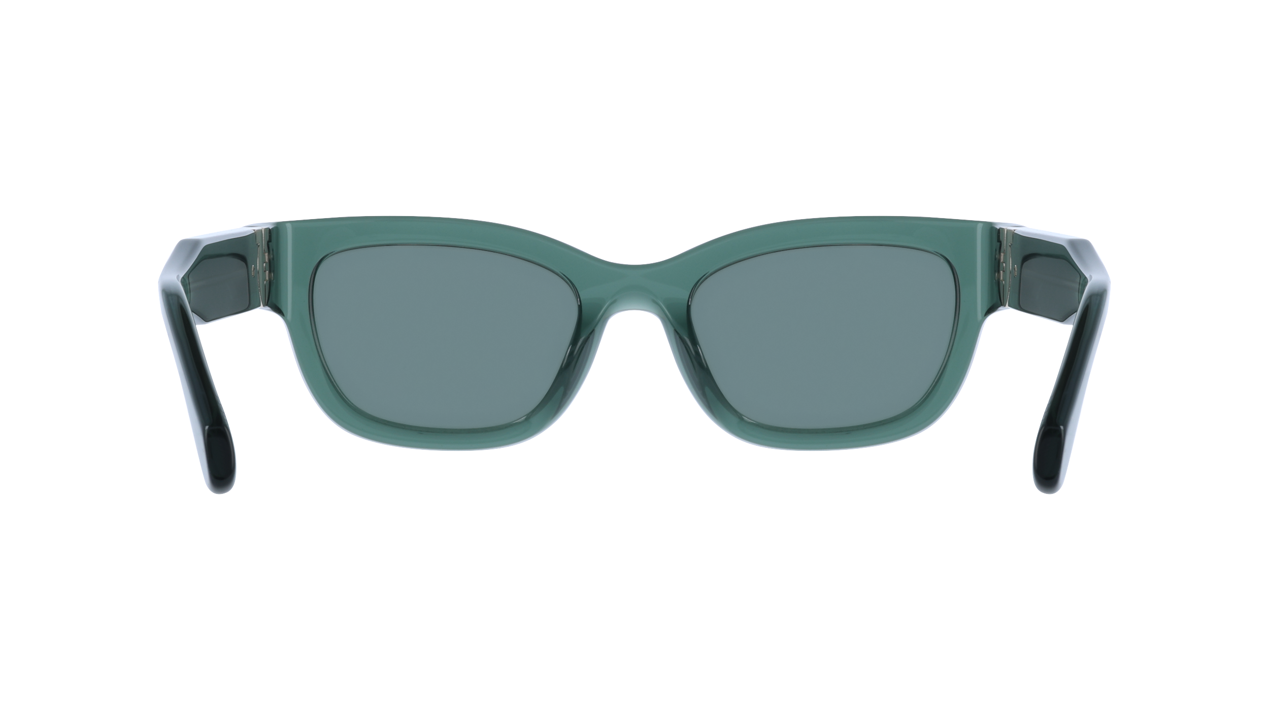 Ferragamo SF2067S 317