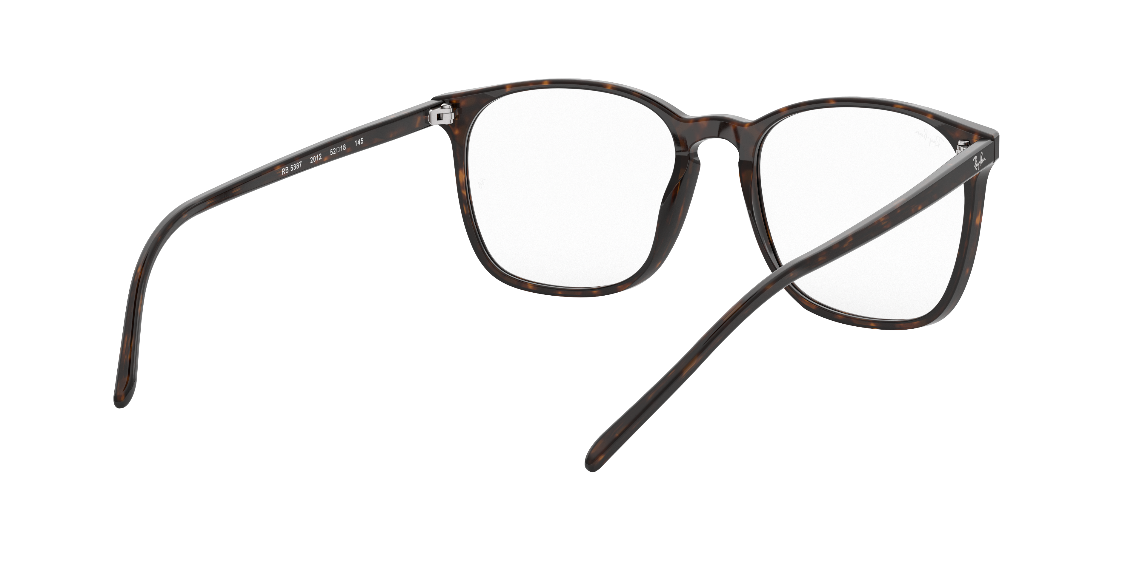 Ray-Ban RX5387 2012