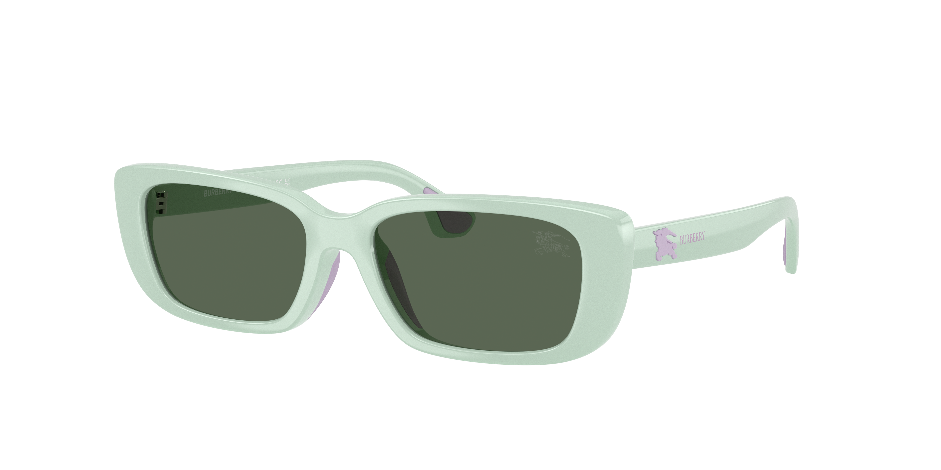 Burberry Kids JB4006U 423071