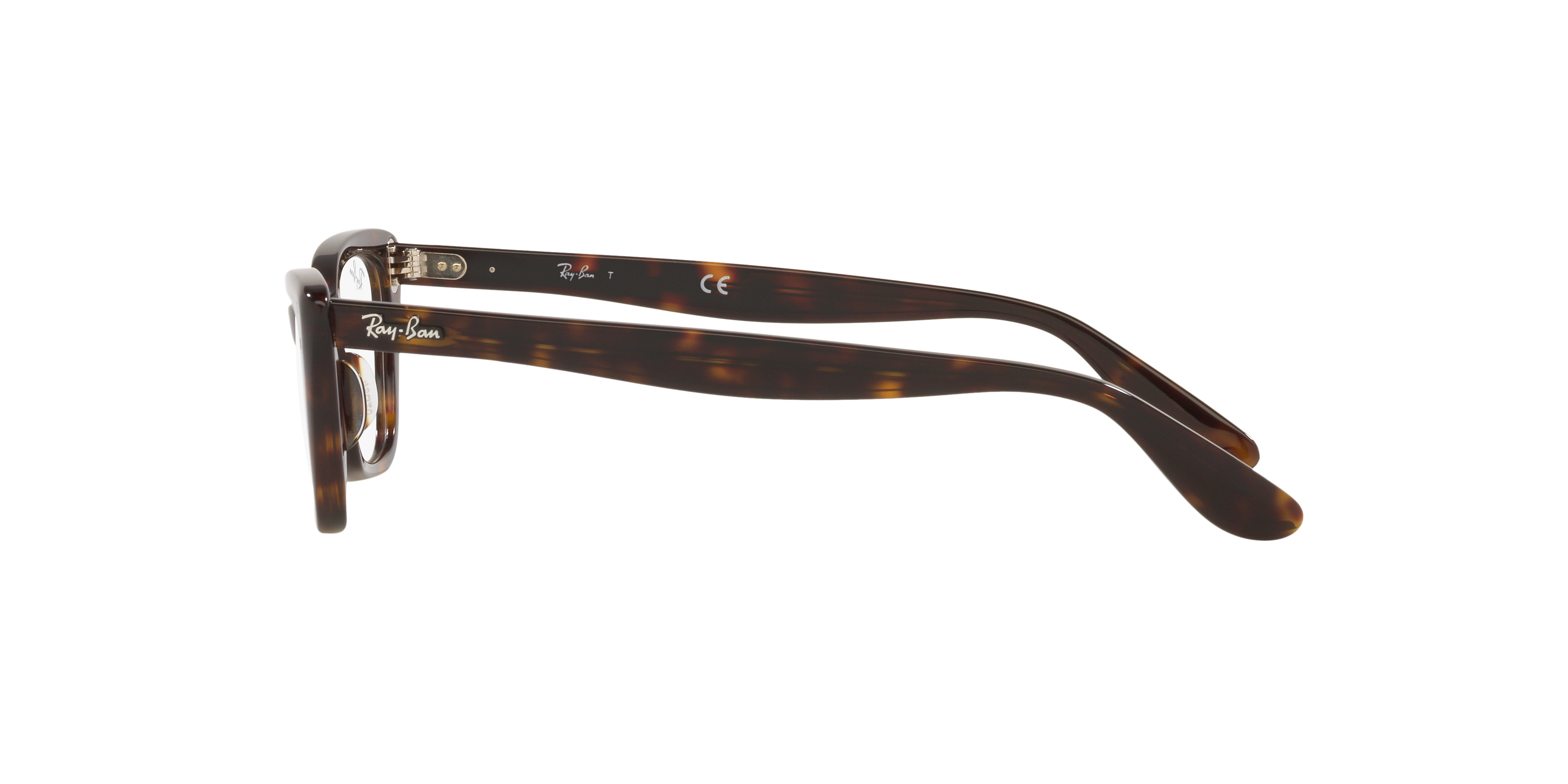 Ray-Ban RX5499 LADY BURBANK 2012