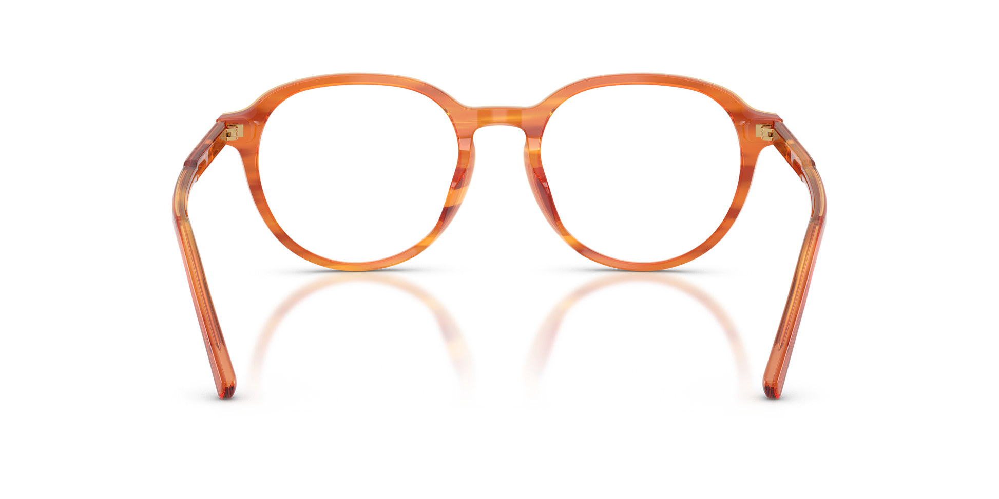 Dolce & Gabbana DG3444 3483