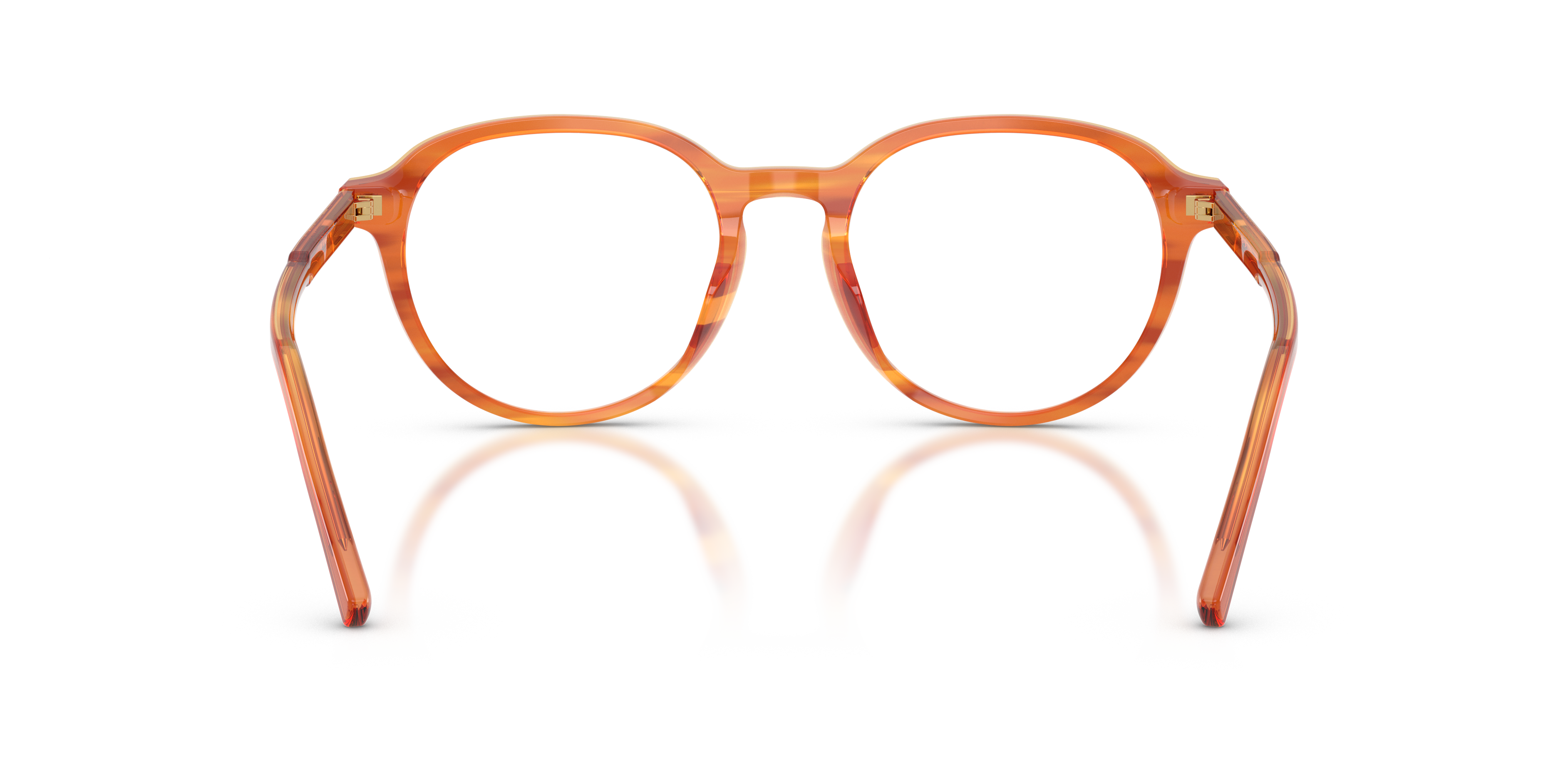 Dolce & Gabbana DG3444 3483