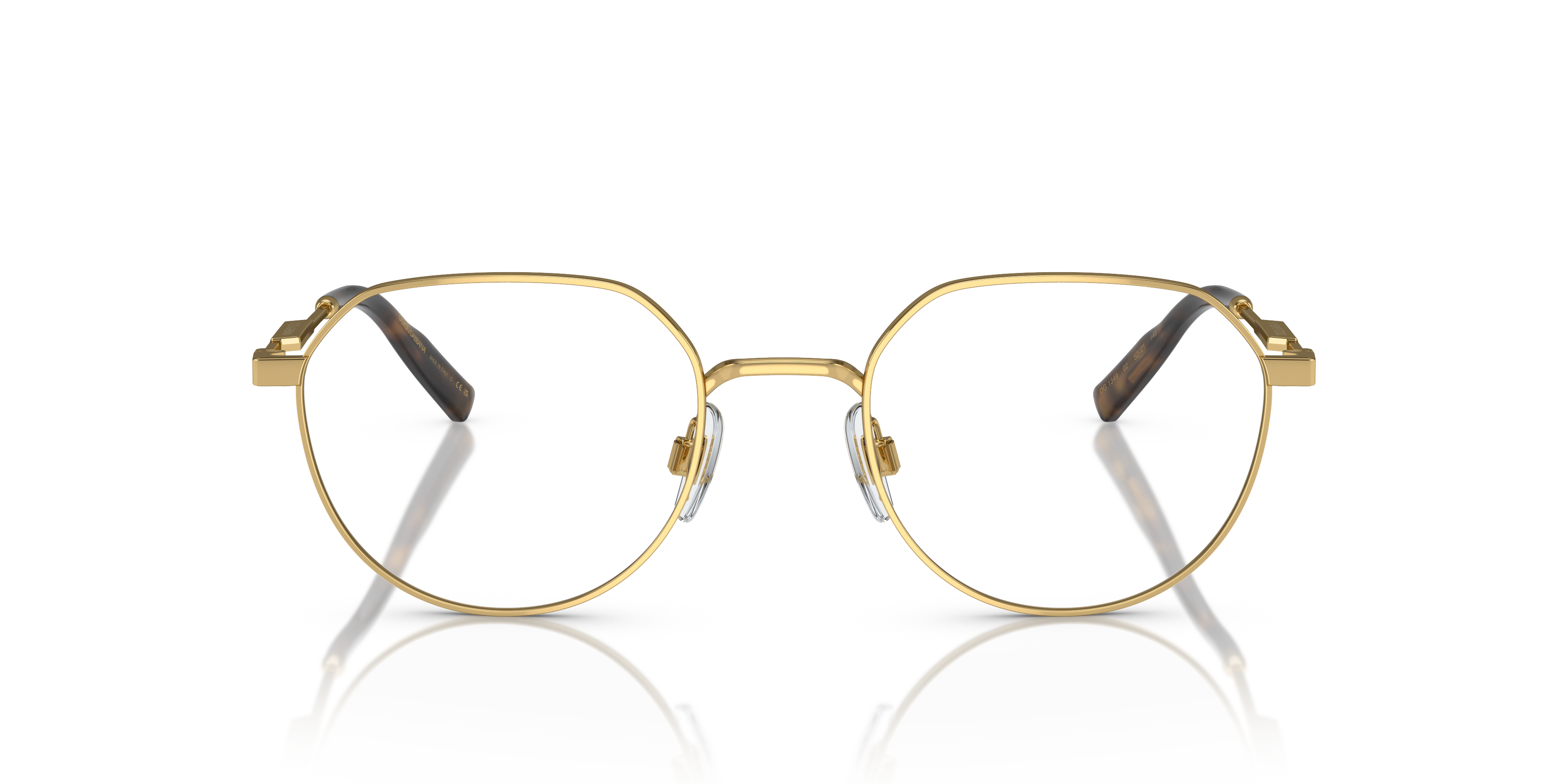Dolce & Gabbana DG1349 02