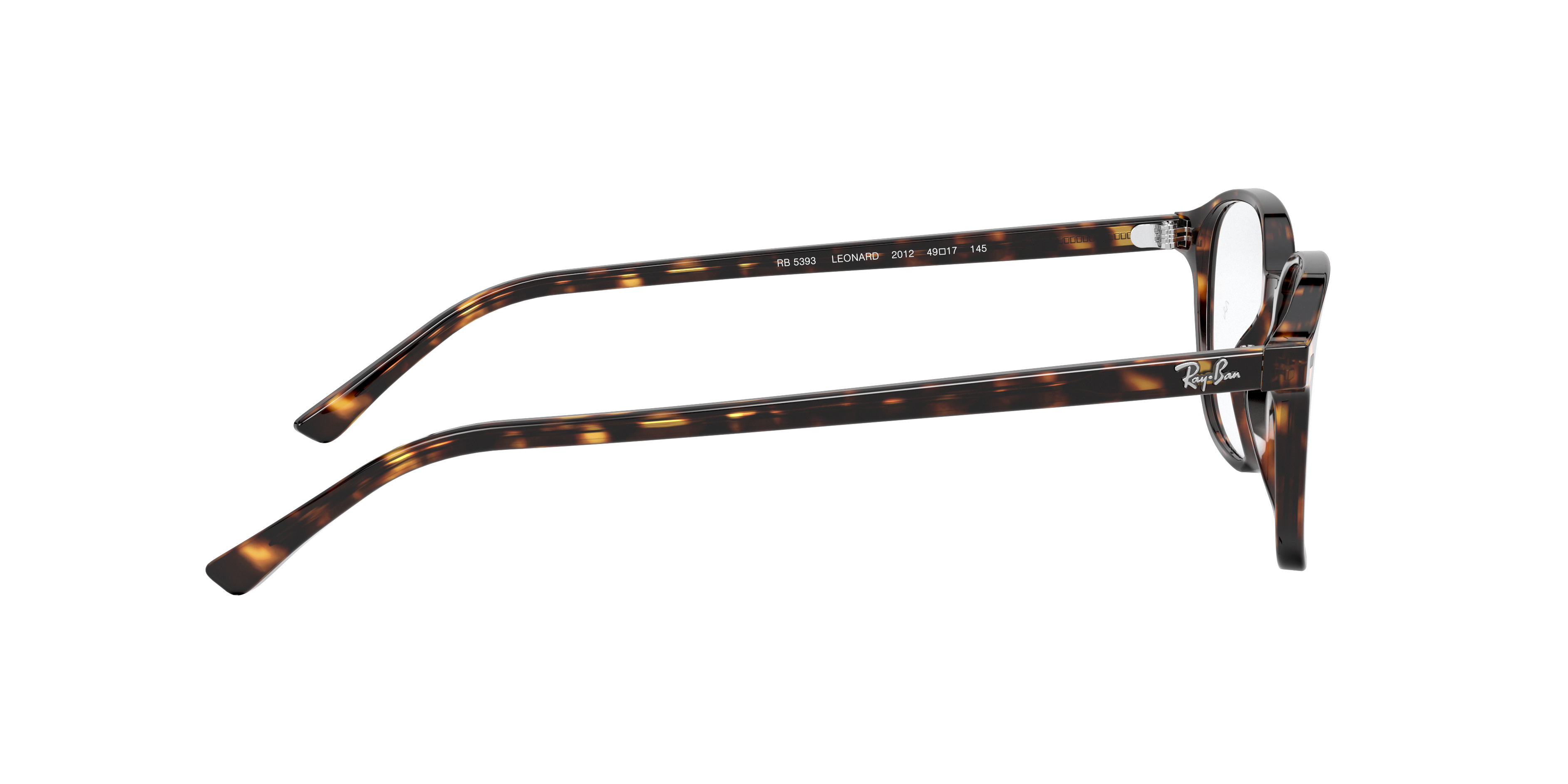 Ray-Ban RX5393 LEONARD 2012