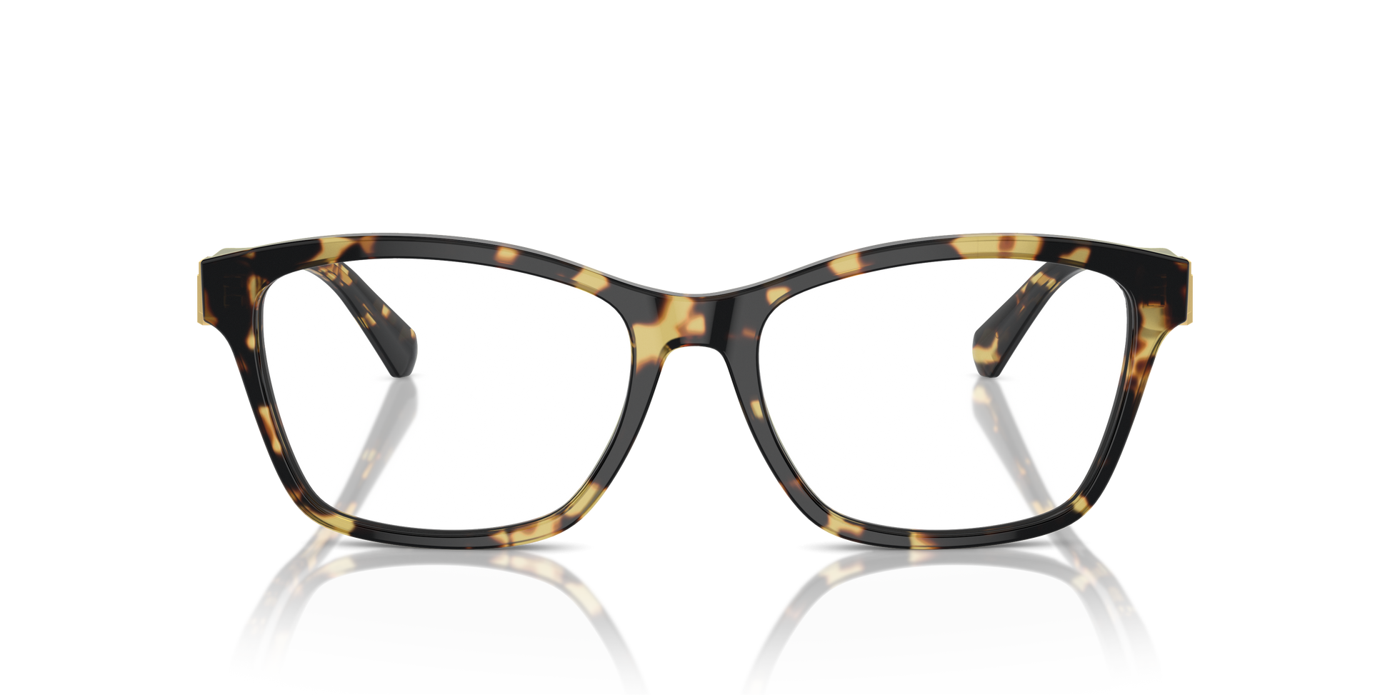 Ralph Lauren RL6243 5004