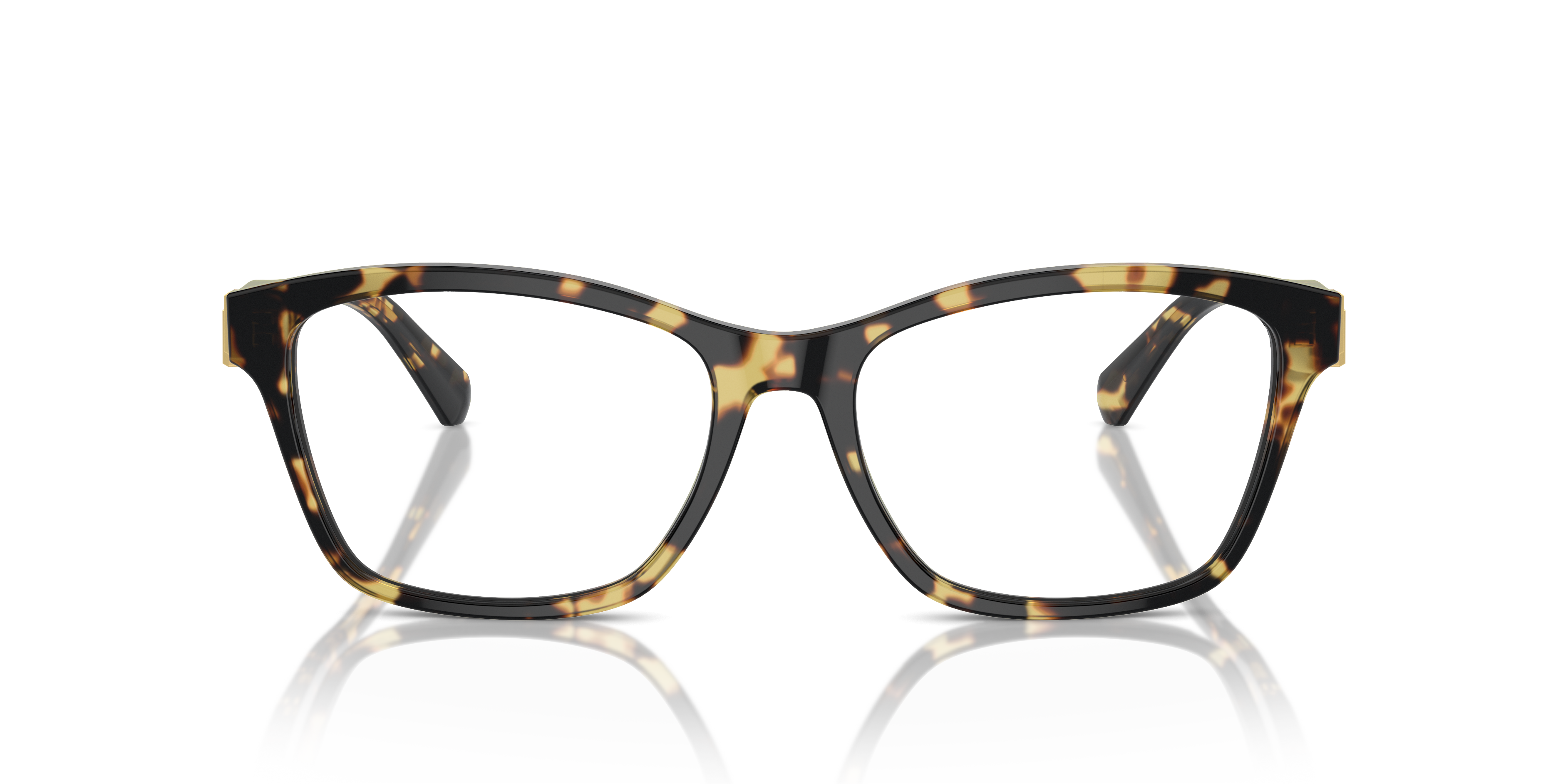 Ralph Lauren RL6243 5004