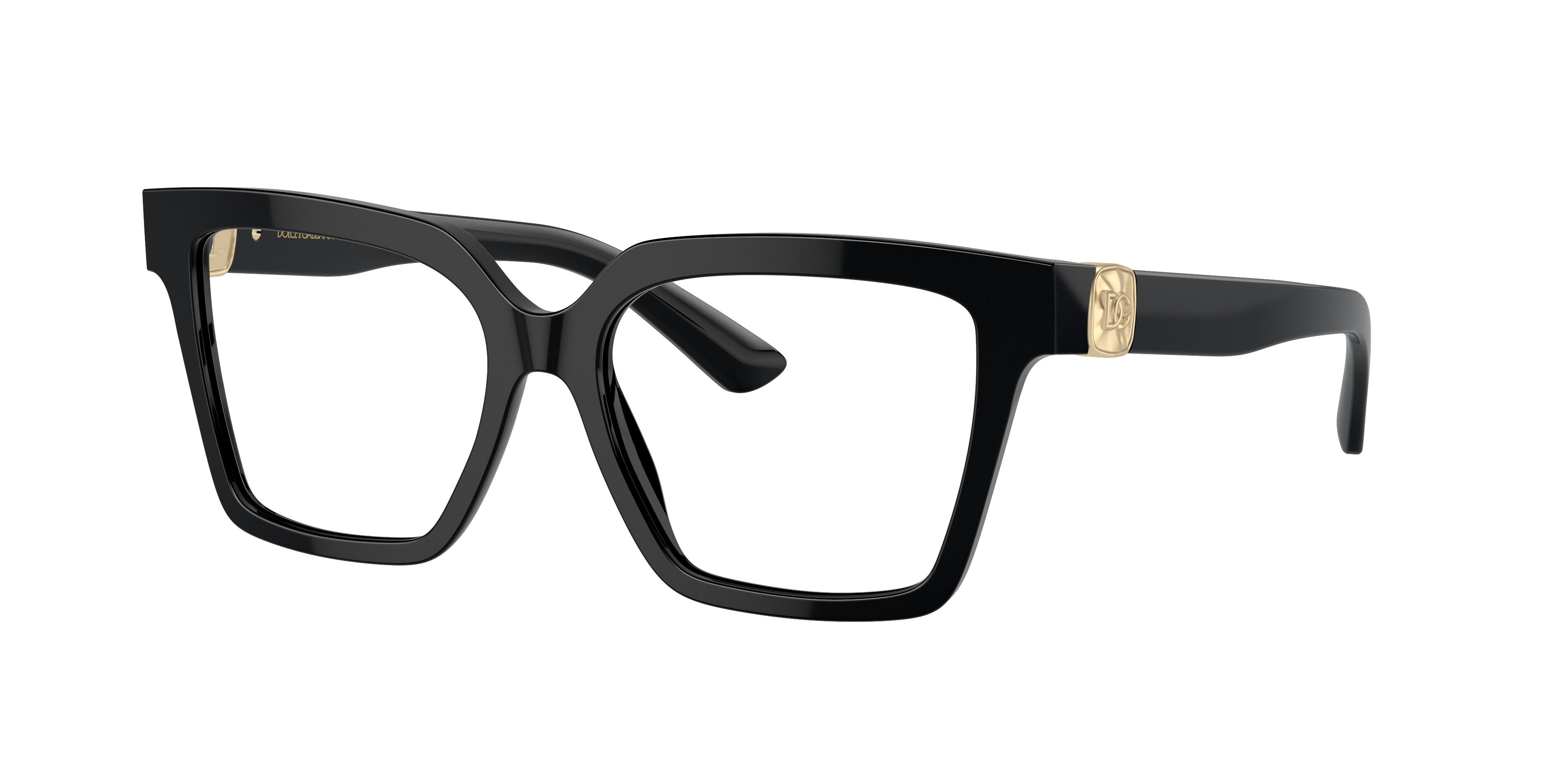 Dolce & Gabbana DG3395 501