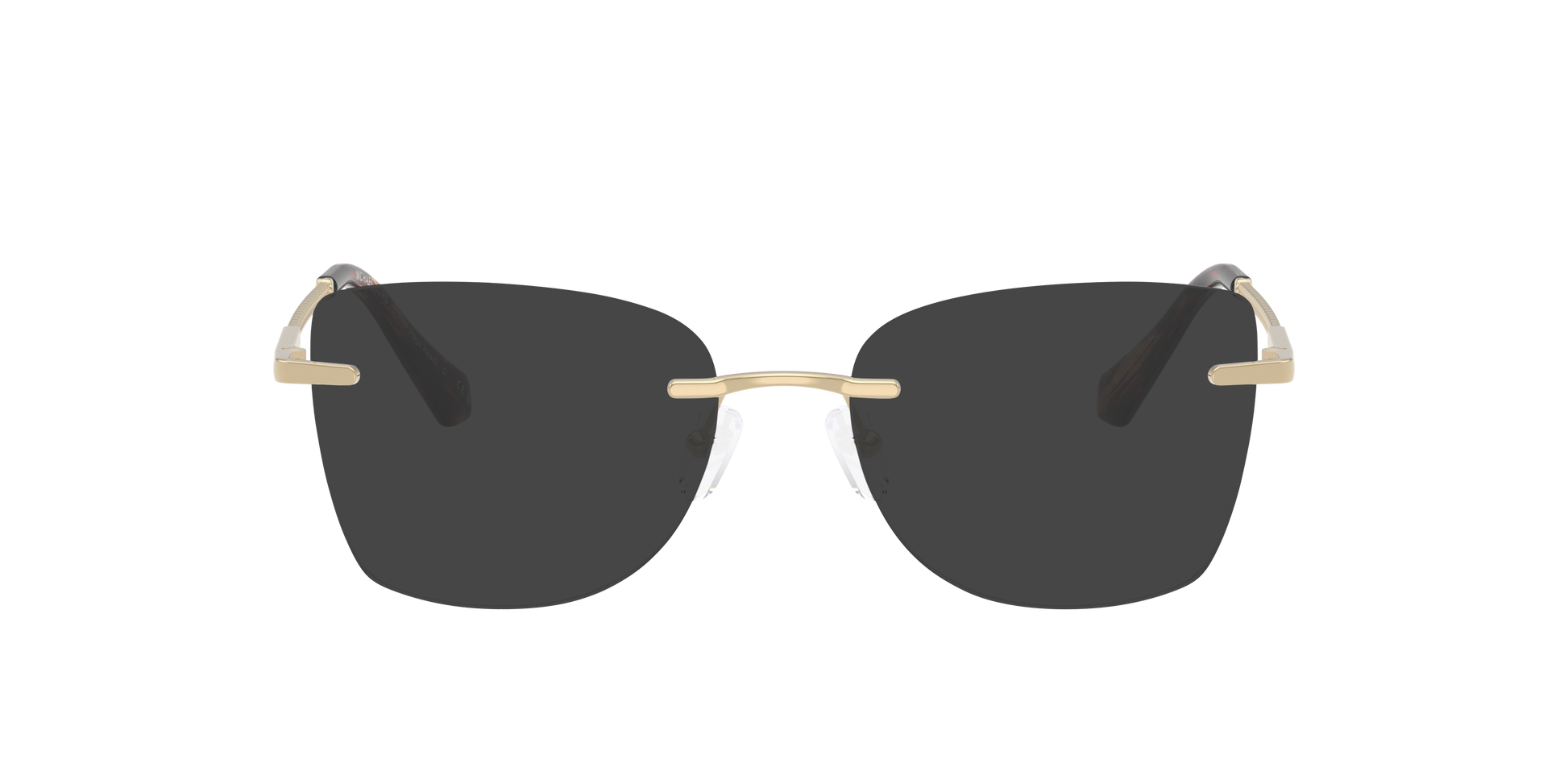 Michael Kors MK3099 NAGS HEAD 1014