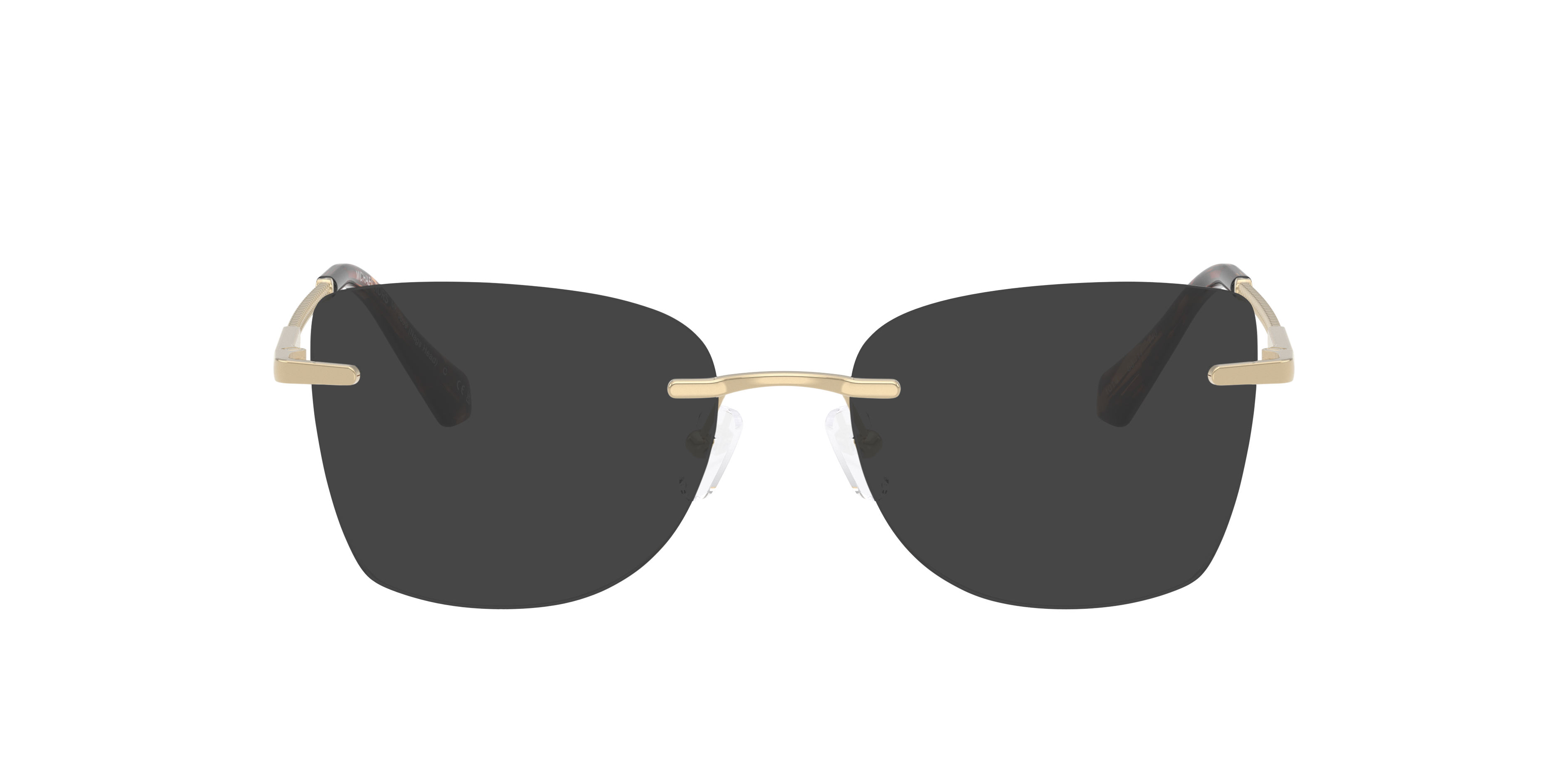 Michael Kors MK3099 NAGS HEAD 1014
