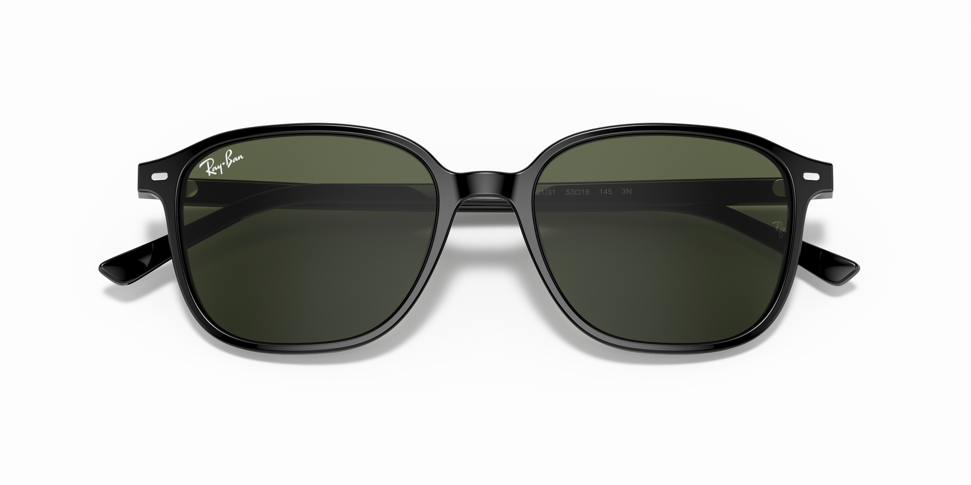 Ray-Ban RB2193 LEONARD 901/31