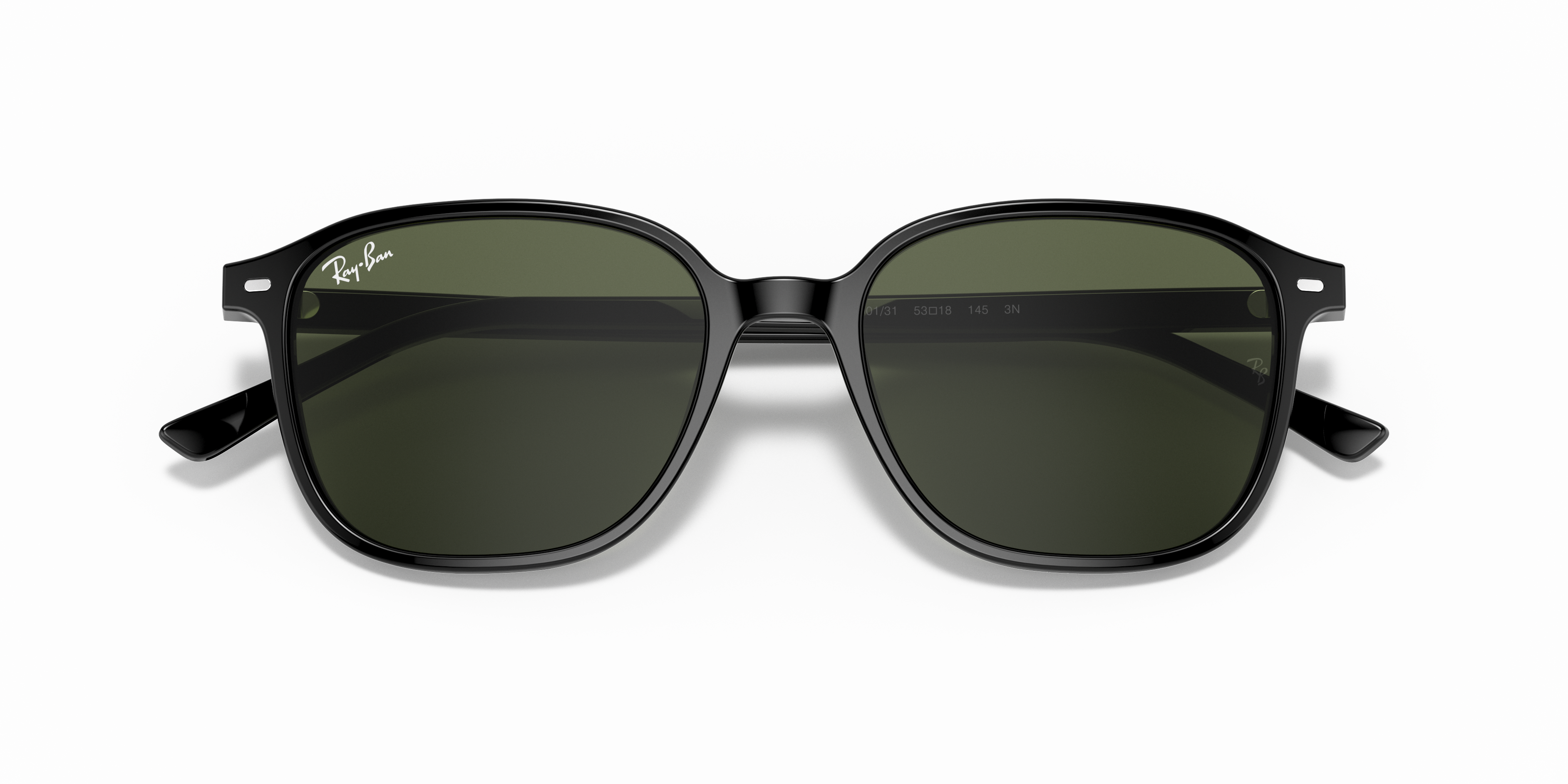 Ray-Ban RB2193 LEONARD 901/31