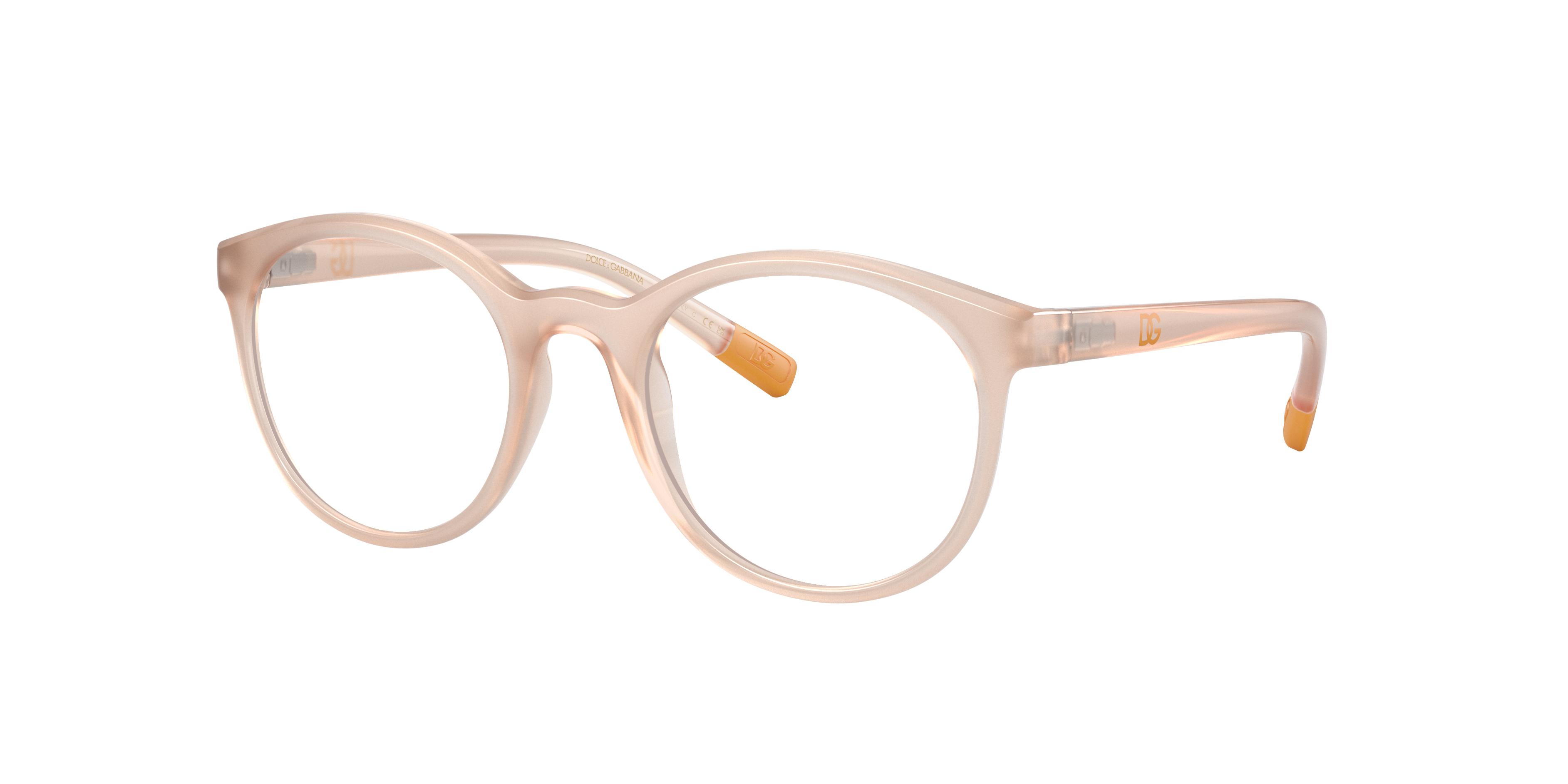Dolce & Gabbana DX5095 3041