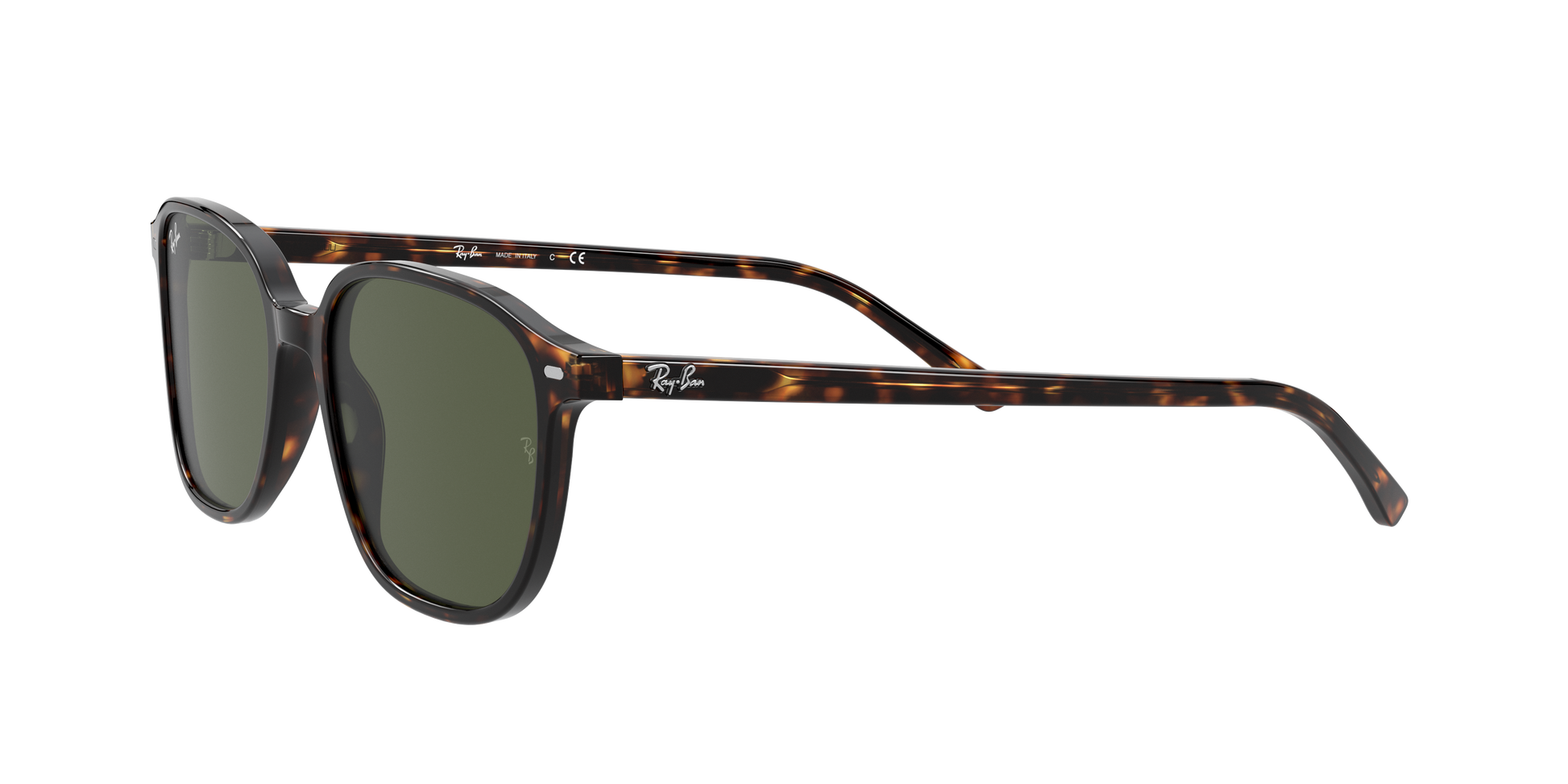 Ray-Ban RB2193 LEONARD 902/31