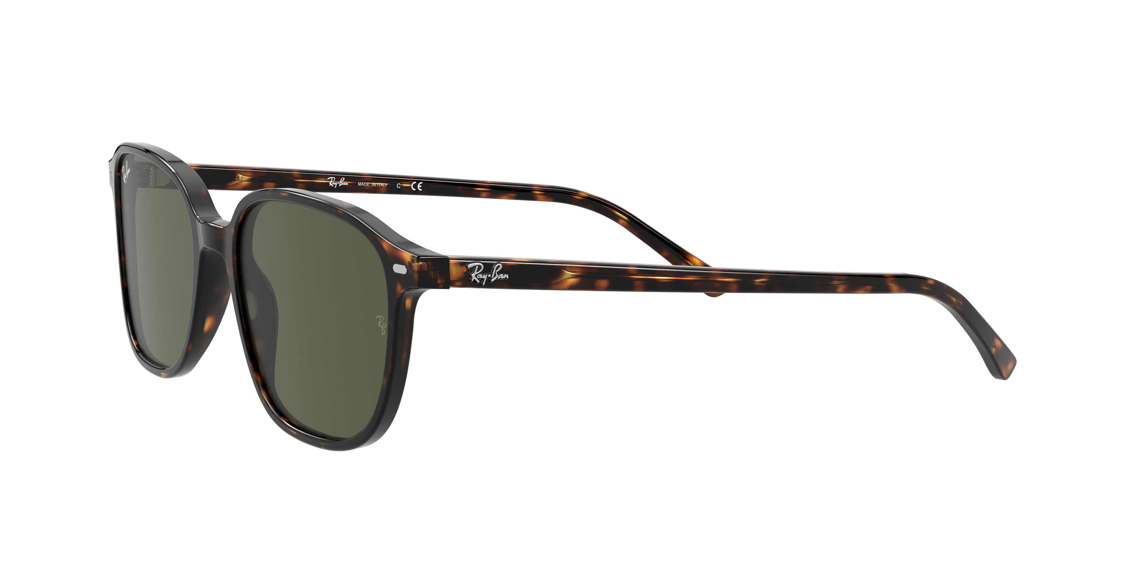 Ray-Ban RB2193 LEONARD 902/31