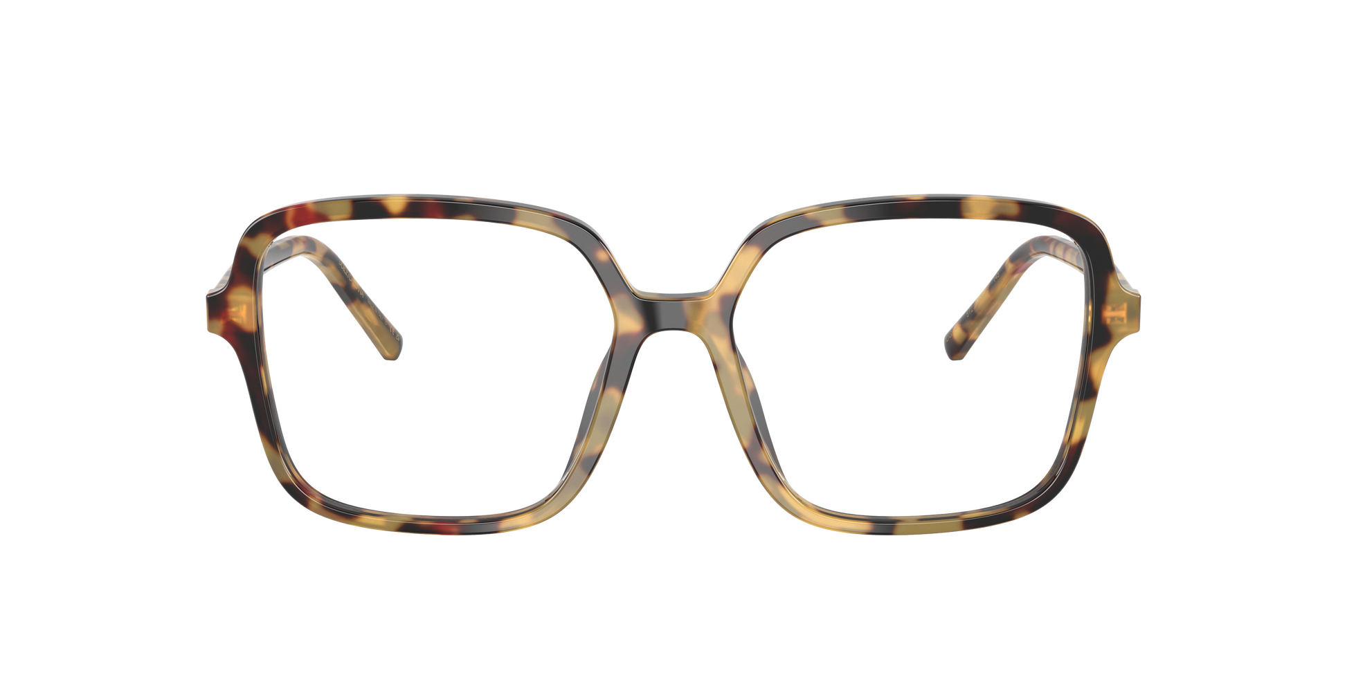 Dolce & Gabbana DG3442 512