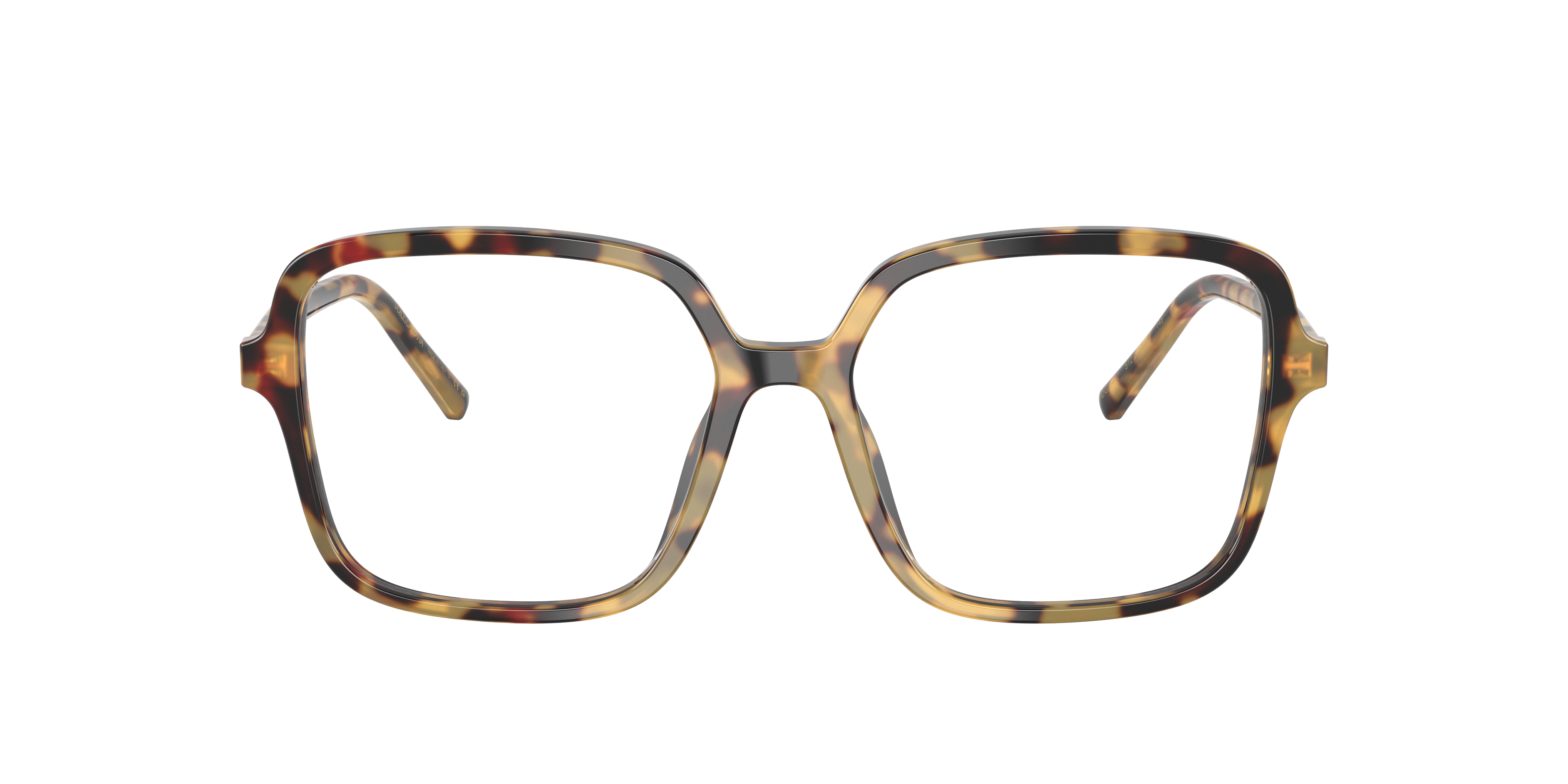 Dolce & Gabbana DG3442 512