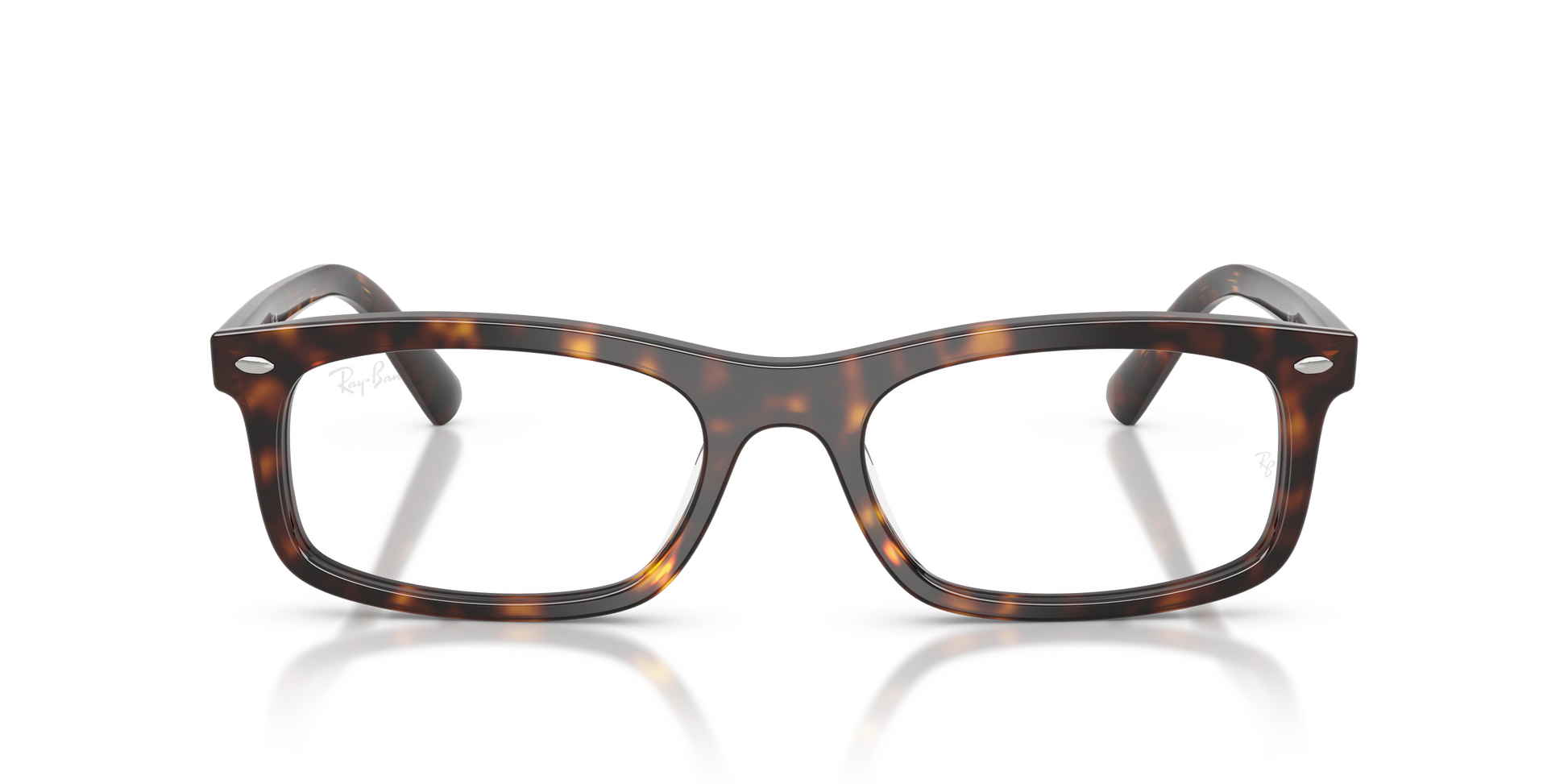 Ray-Ban RX5450 2012