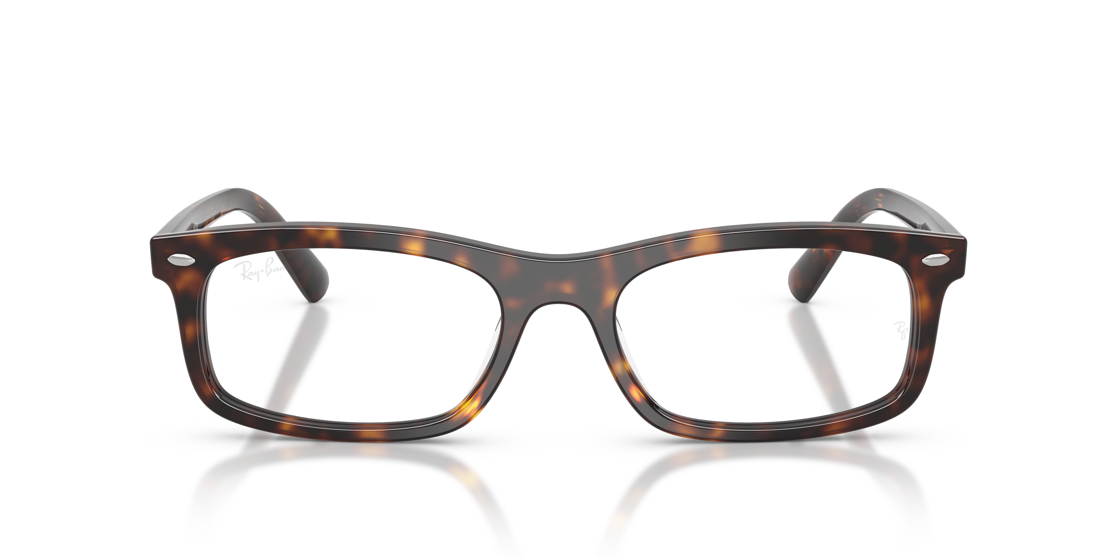 Ray-Ban RX5450 2012