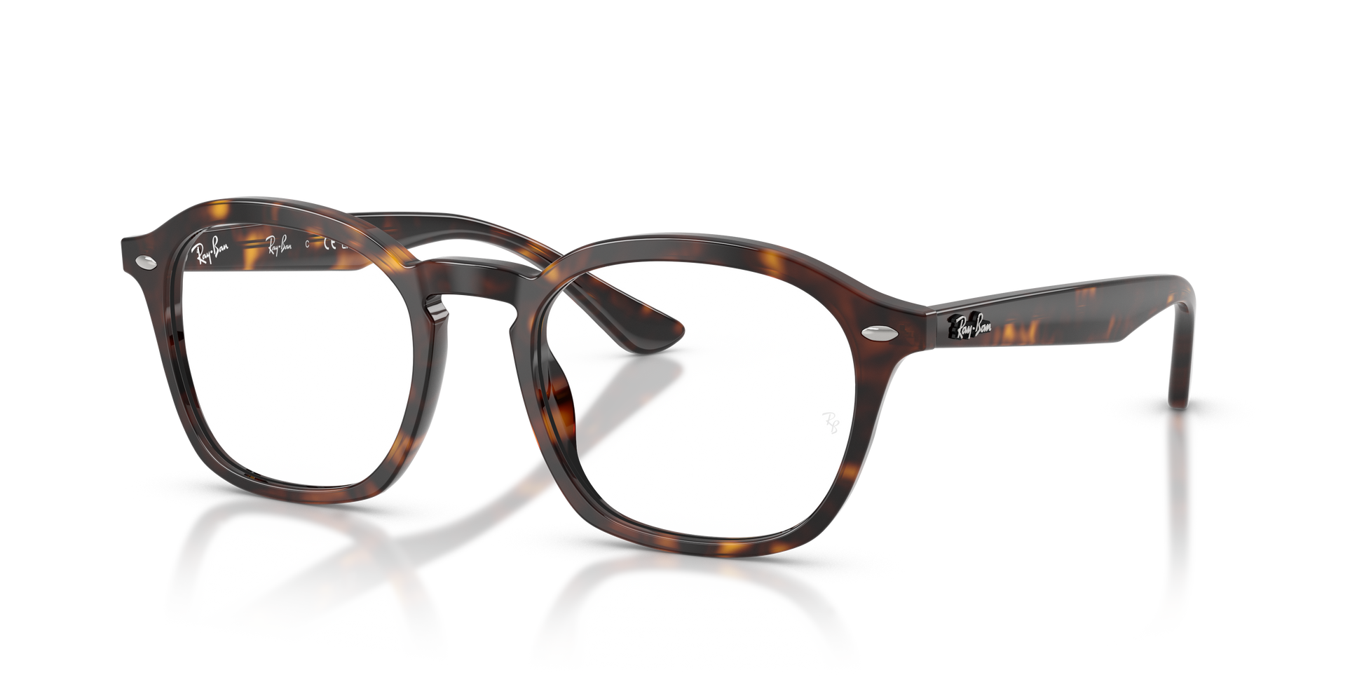 Ray-Ban RX5451 2012