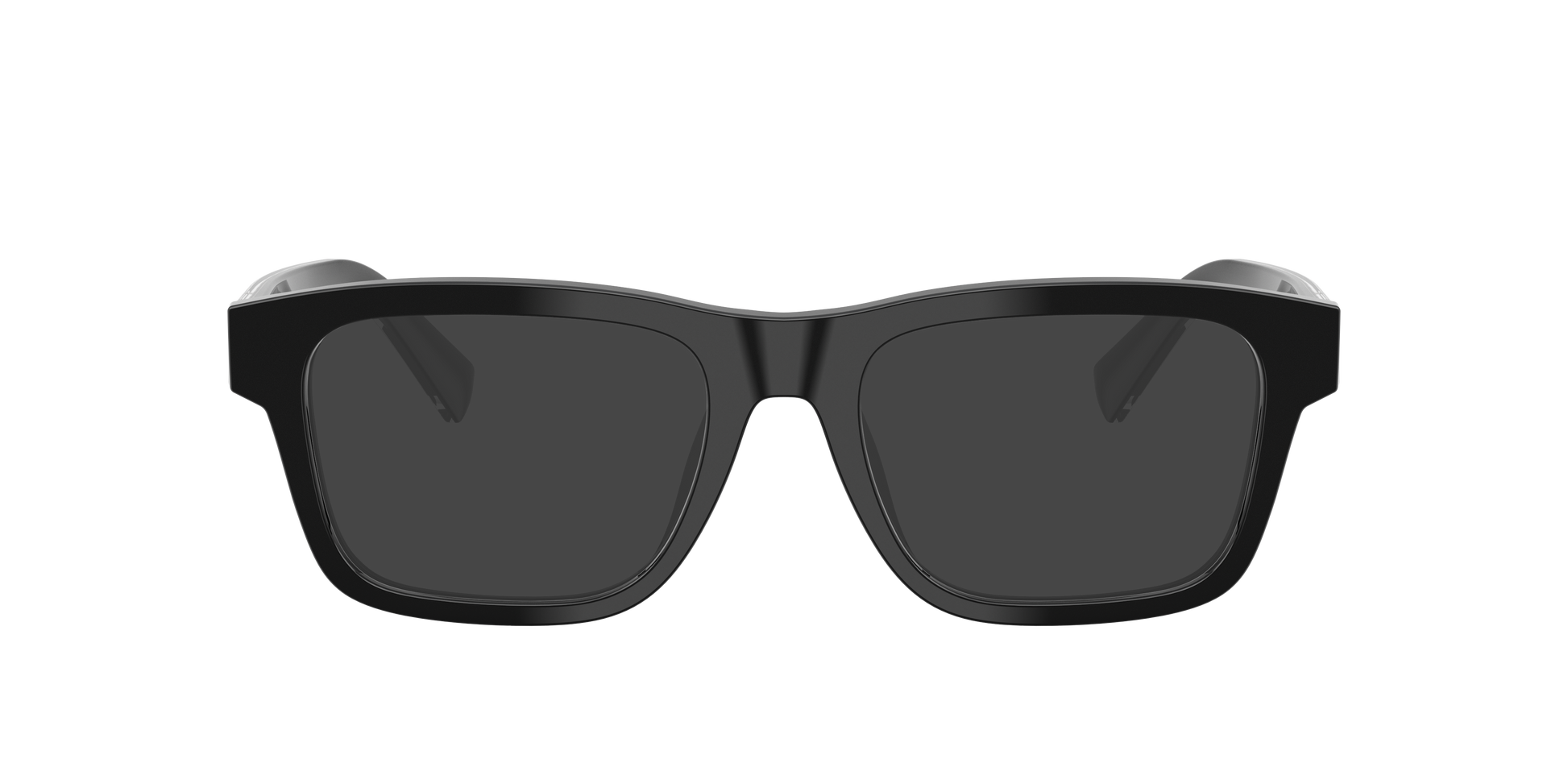 Dolce & Gabbana DG3446 501