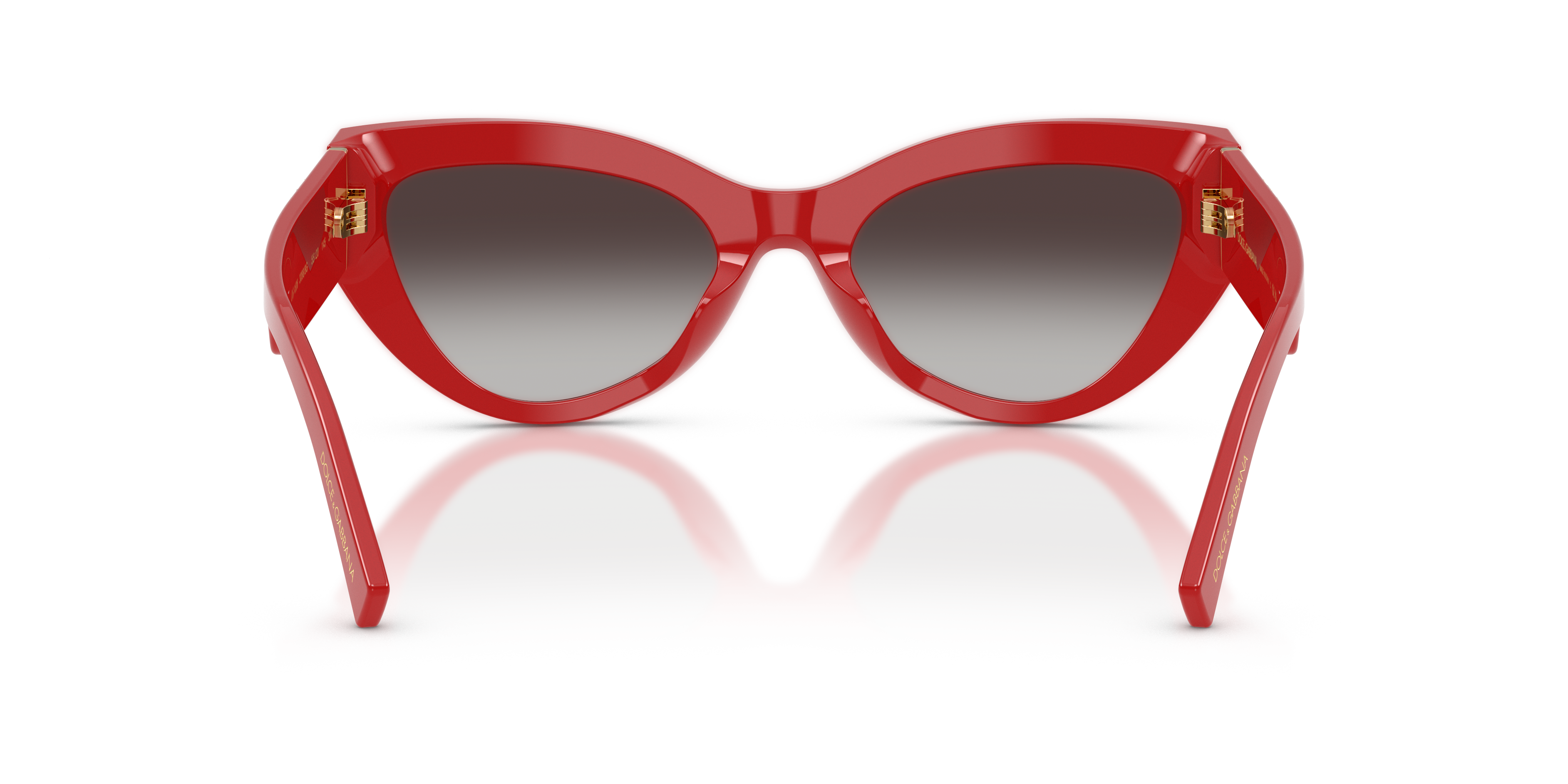Dolce & Gabbana DG4536 30888G