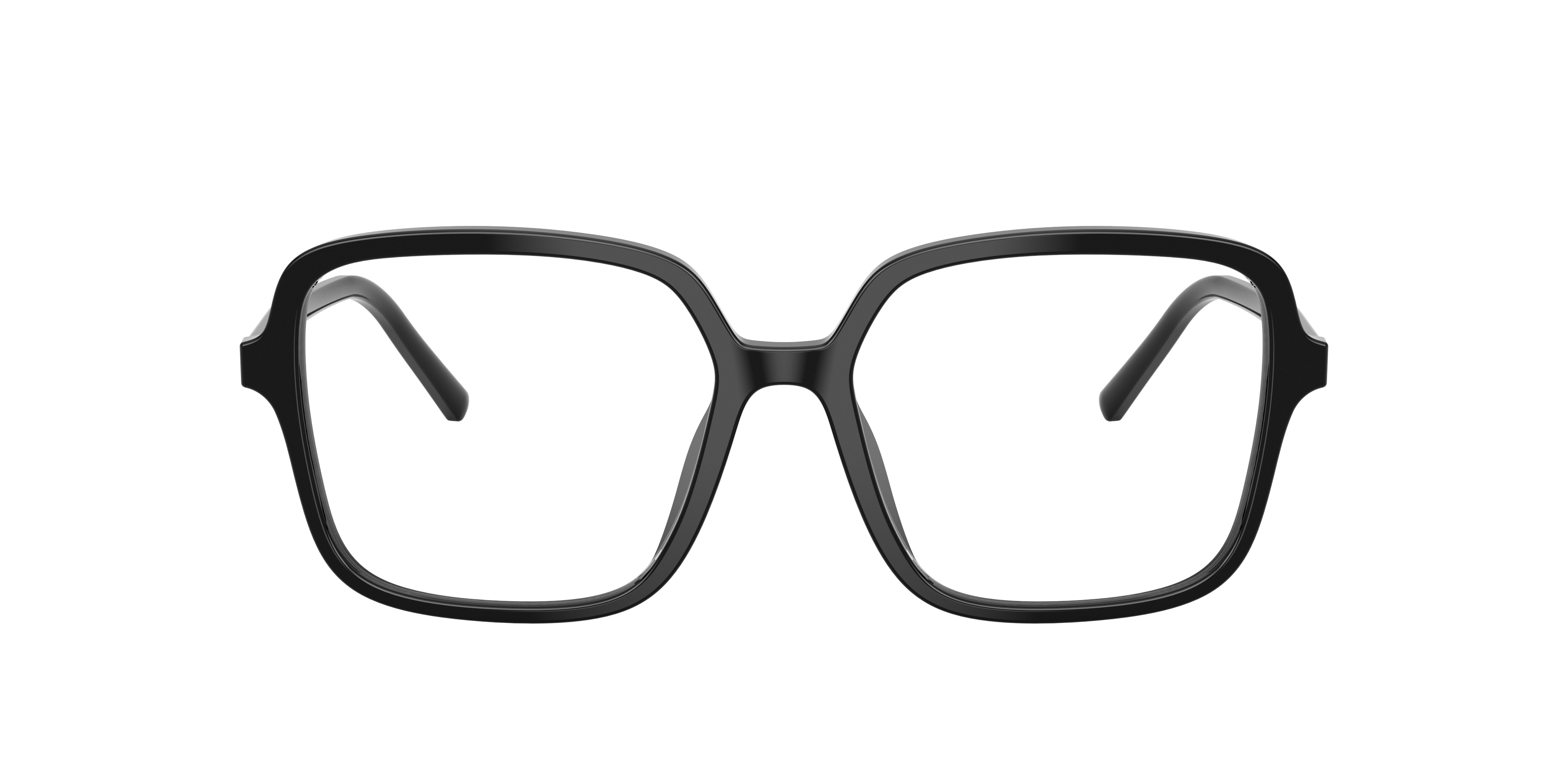 Dolce & Gabbana DG3442 501