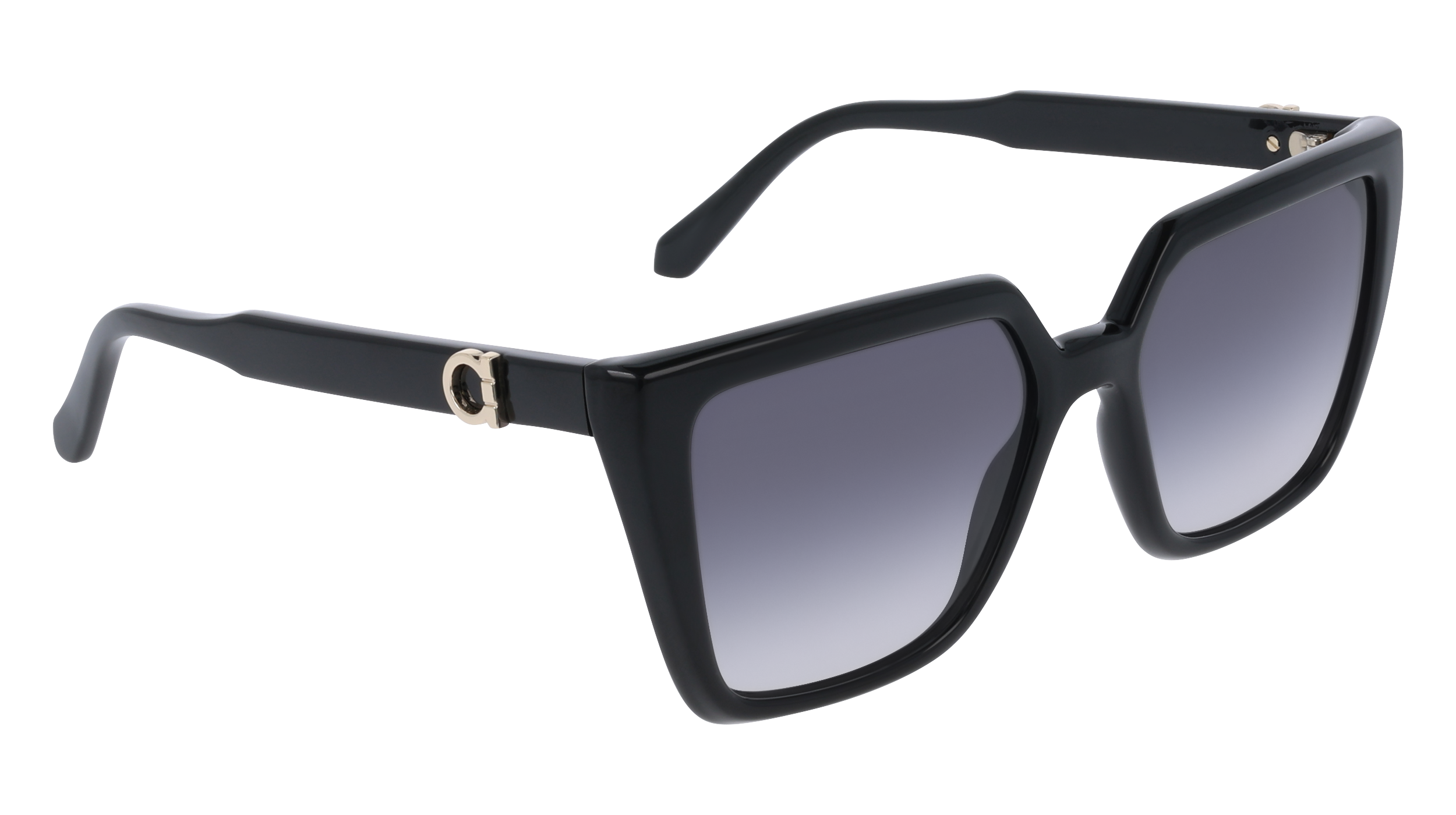 Ferragamo SF2058SE 1