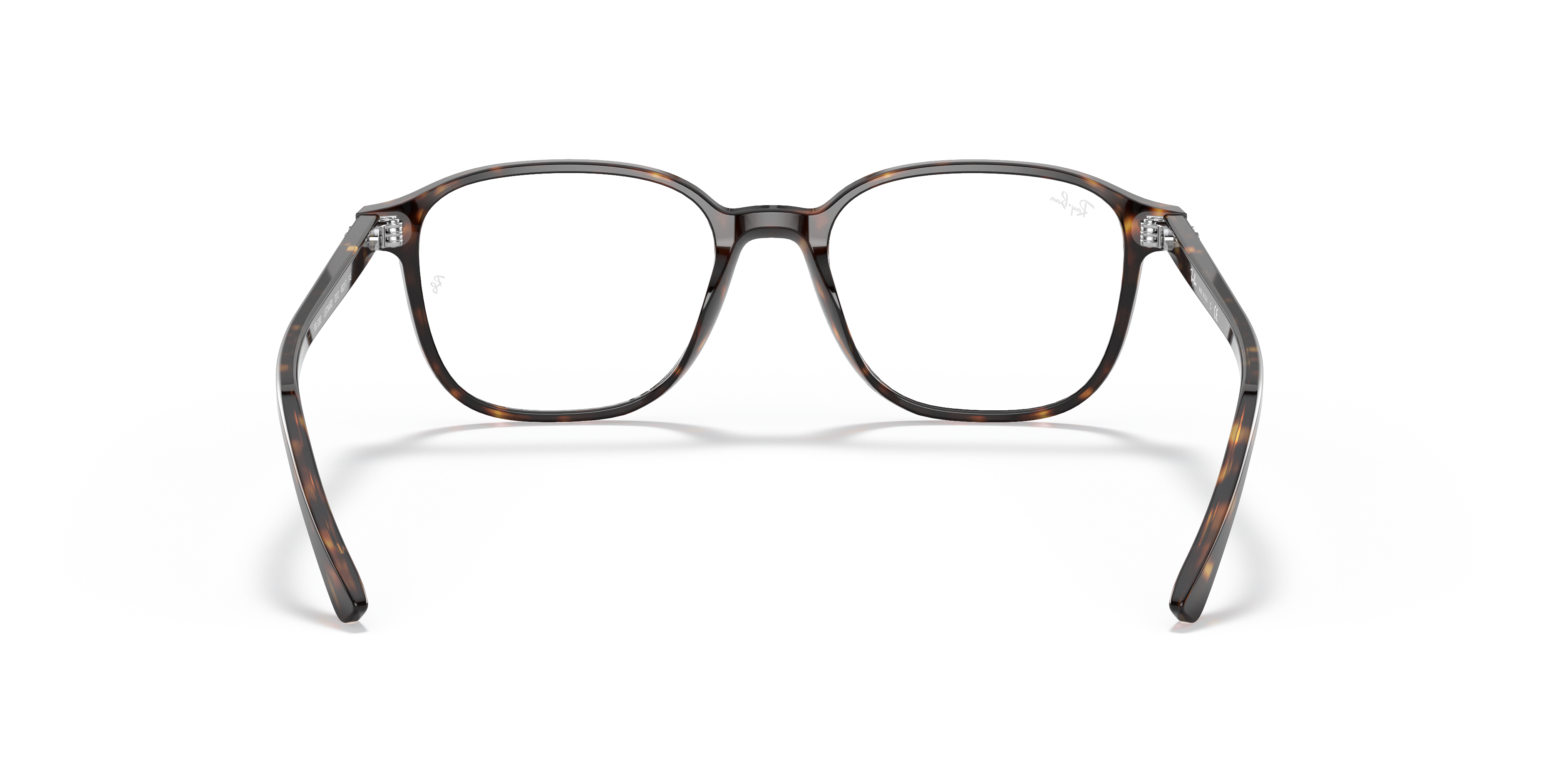 Ray-Ban RX5393 LEONARD 2012