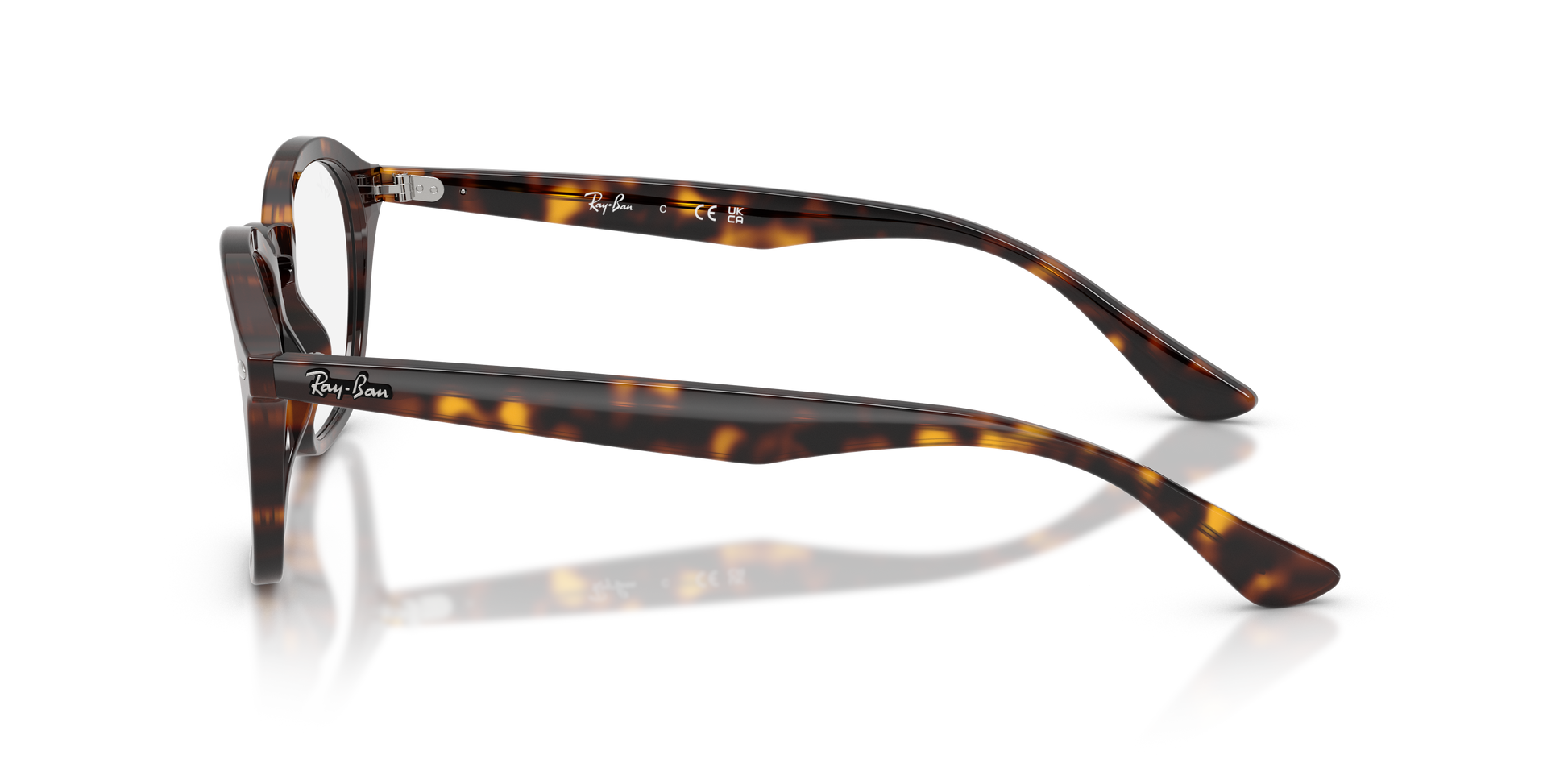 Ray-Ban RX5451 2012
